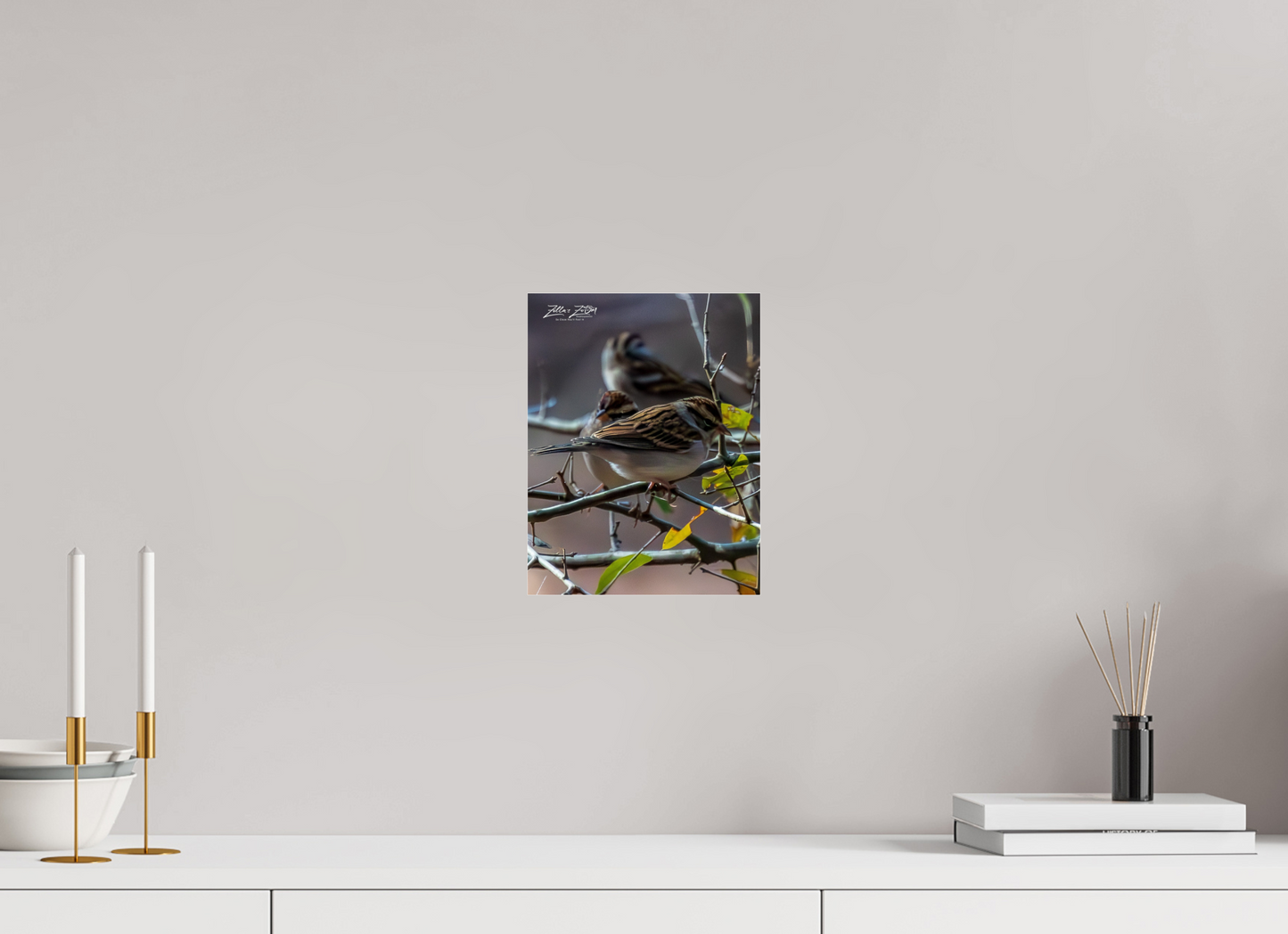 8 x 10.4″, Photo Print Under Acrylic Glass Zillas Zoom Image 427