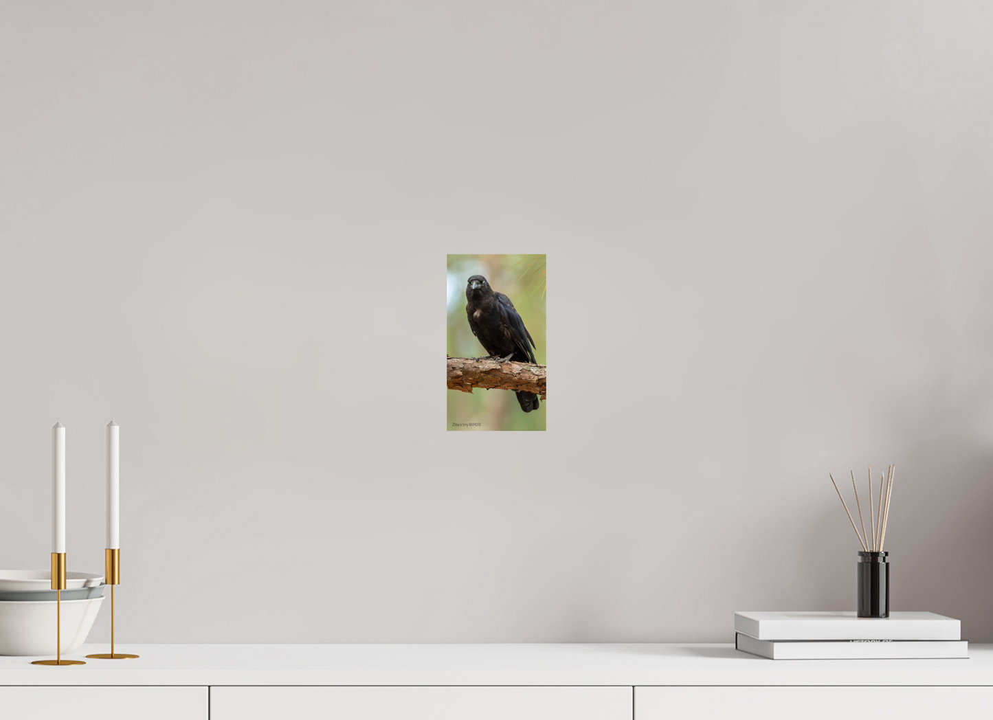 4.5 x 8″, Photo Print On Fuji Crystal DP II Zillas Zoom Image 478