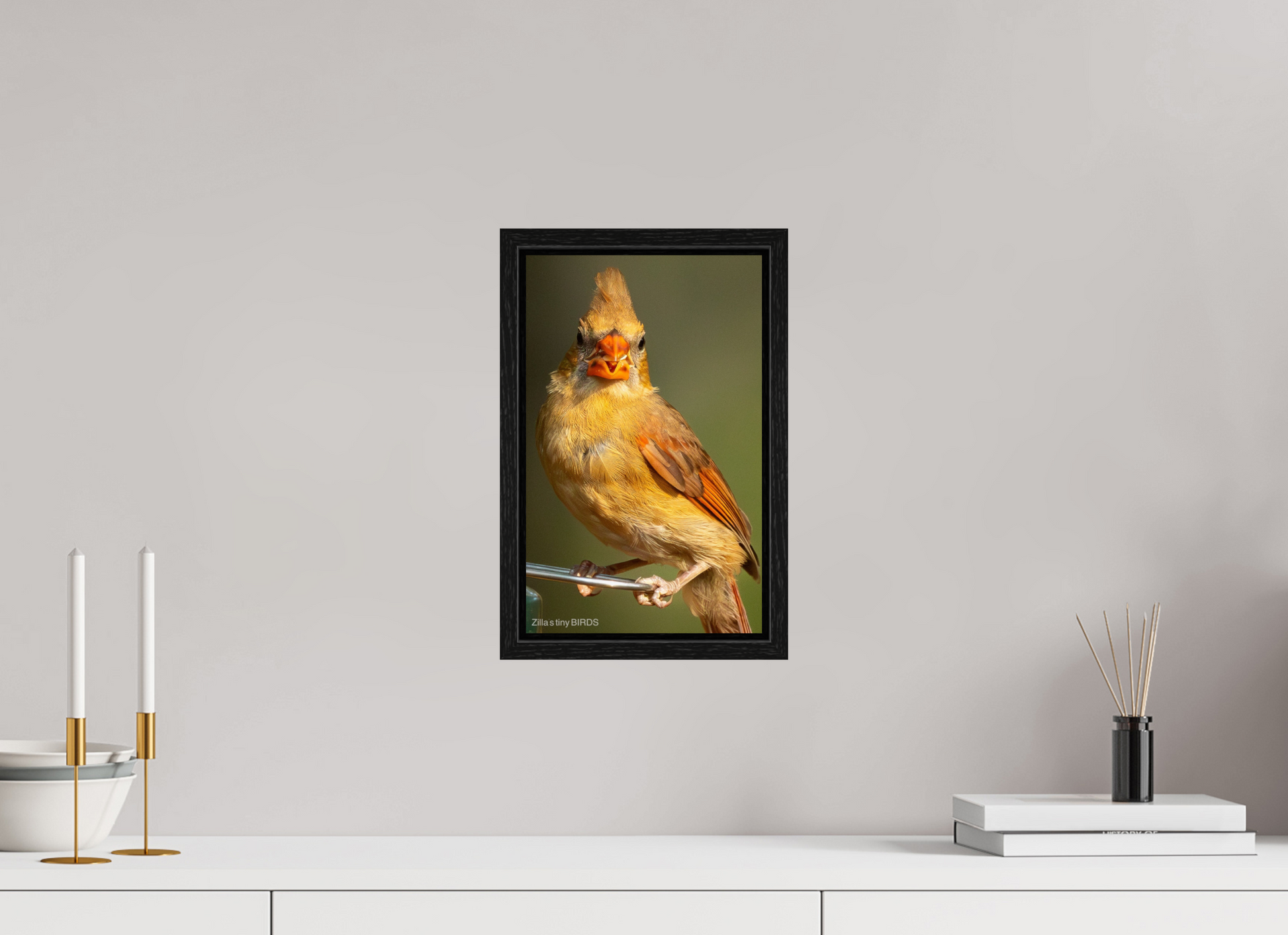8 x 12.8″, Floater Frame Zillas Zoom Image 509