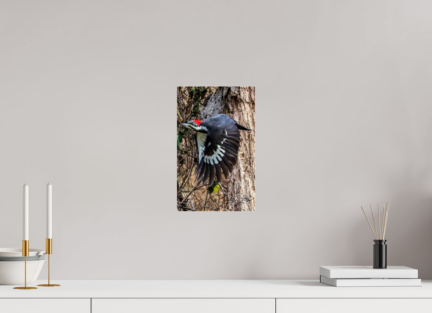 8 x 12.8″, Photo Print Under Acrylic Glass Zillas Zoom Image 419