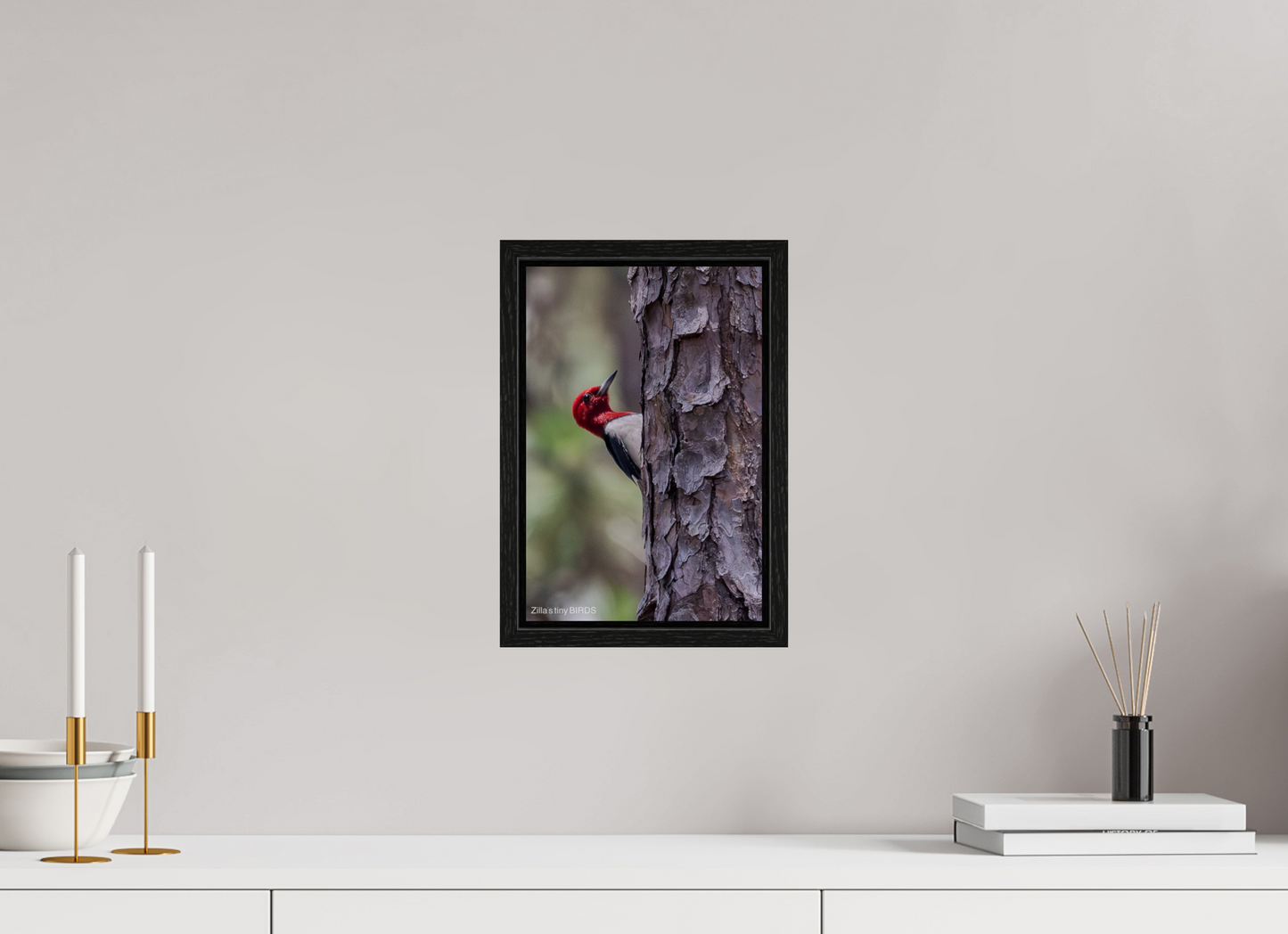 8 x 12″, Floater Frame Zillas Zoom Image 506