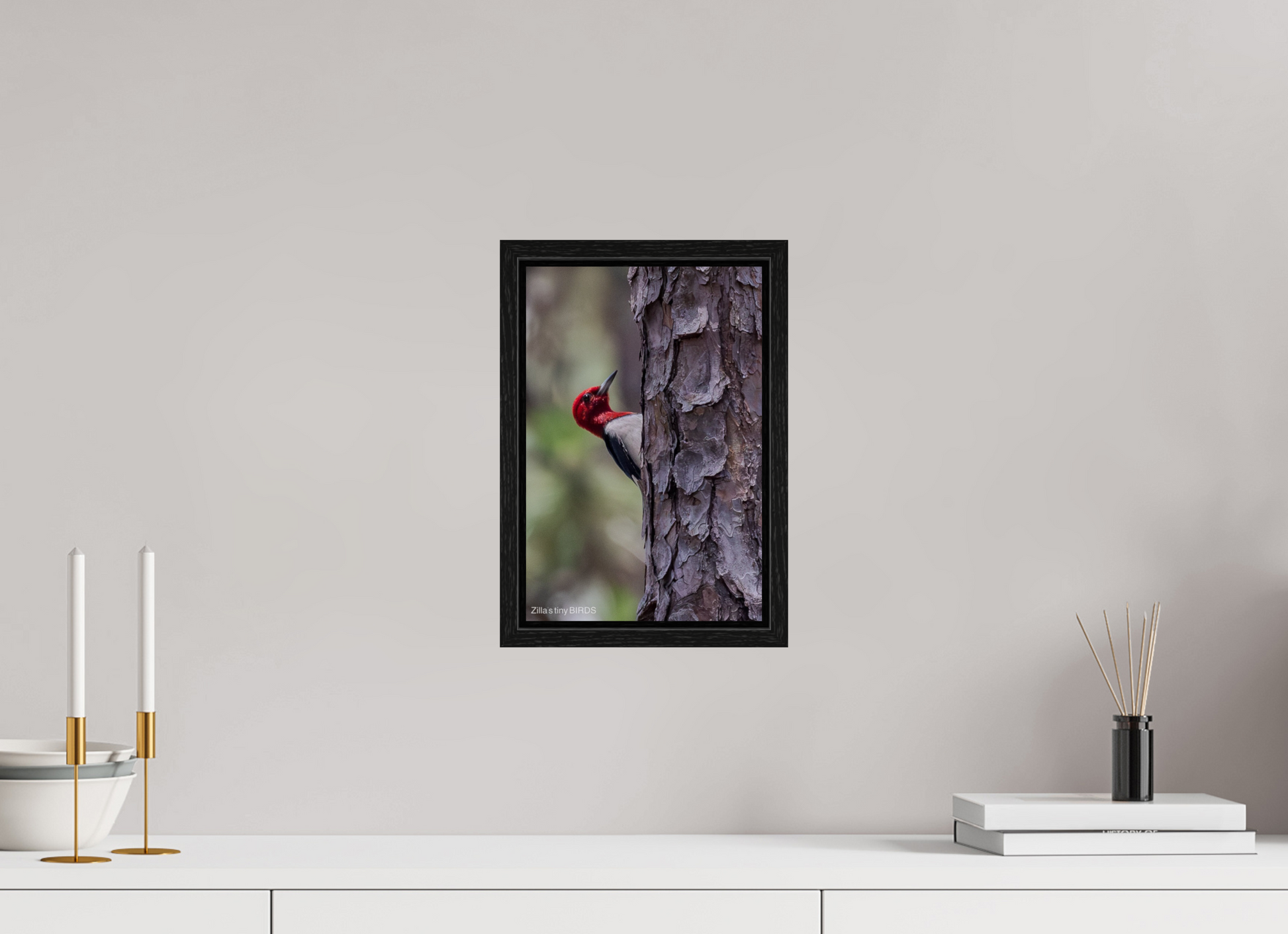 8 x 12″, Floater Frame Zillas Zoom Image 506