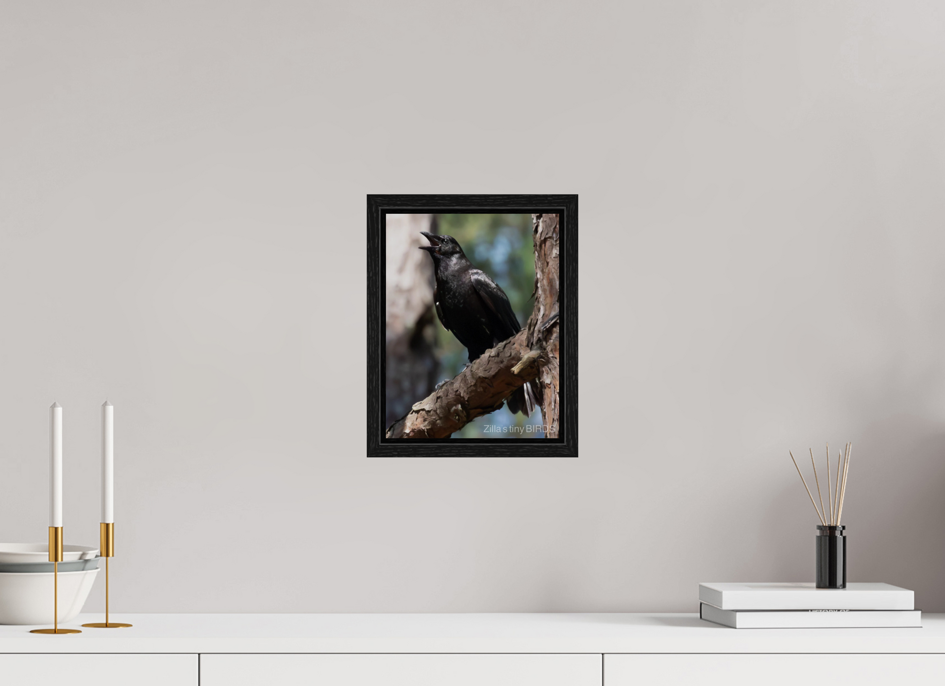 8 x 10.4″, Floater Frame Zillas Zoom Image 498