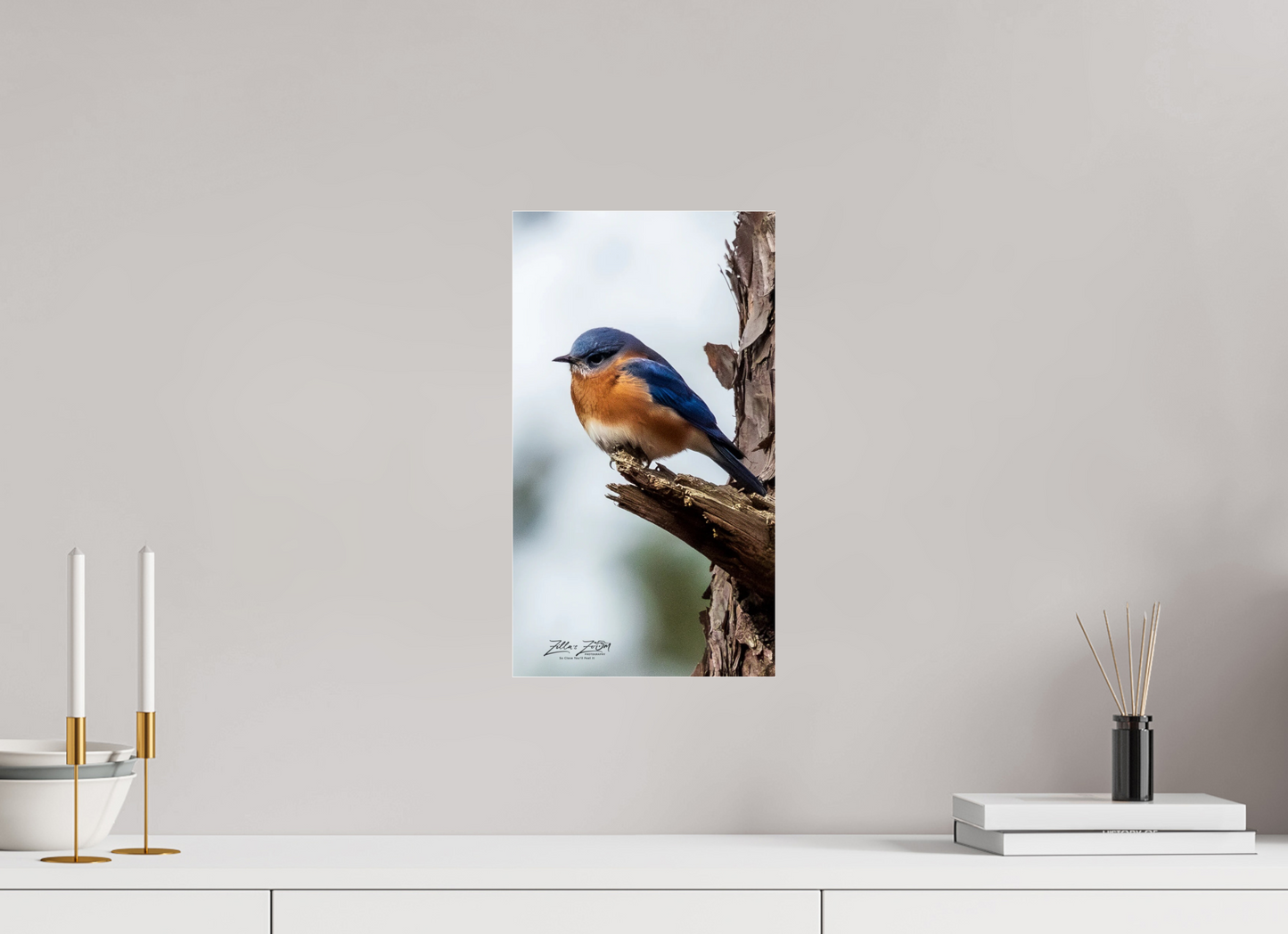 9 x 16″, Photo Print Under Acrylic Glass Zillas Zoom Image 458