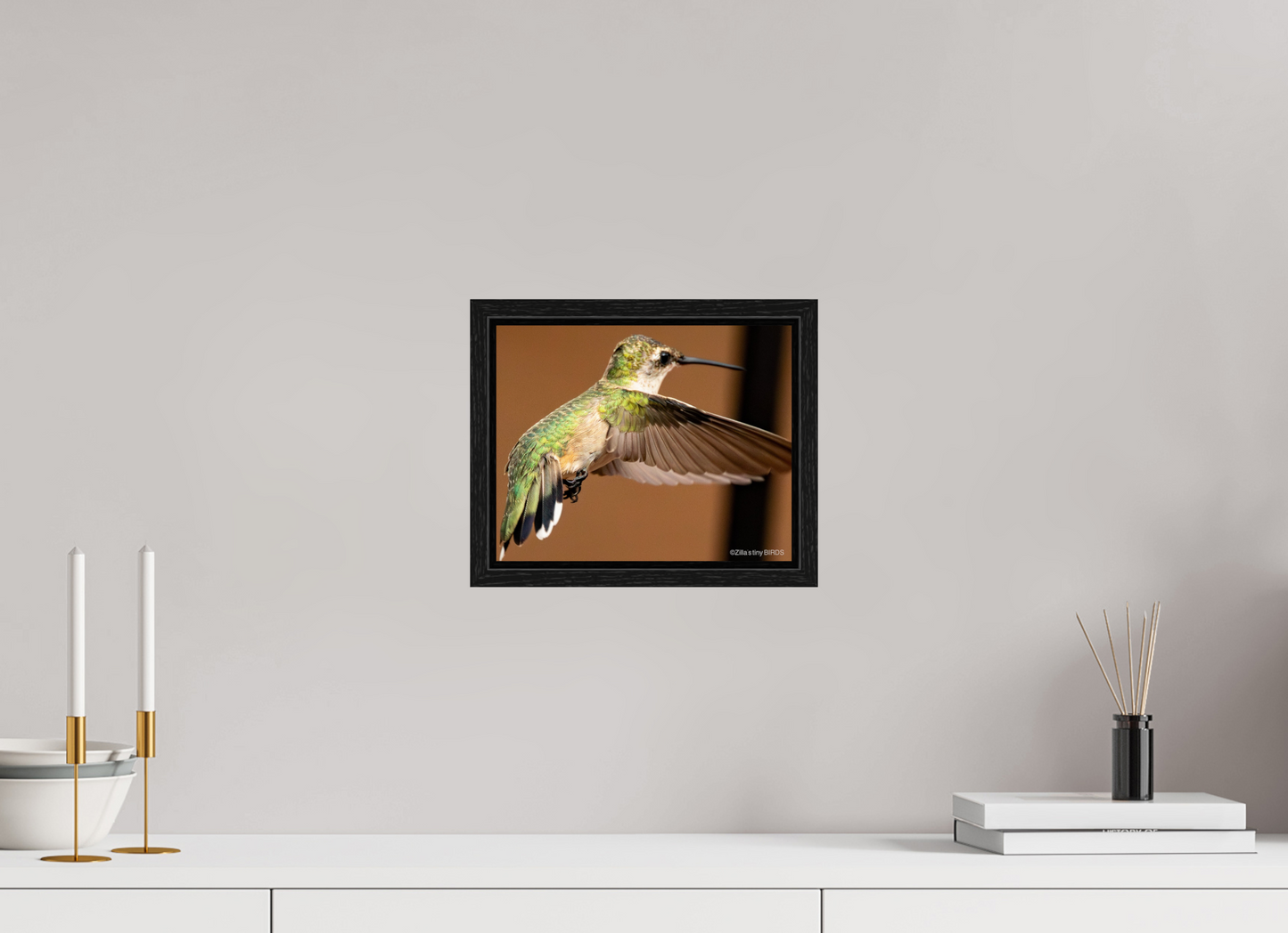 10 x 8″, Floater Frame Zillas Zoom Image 336