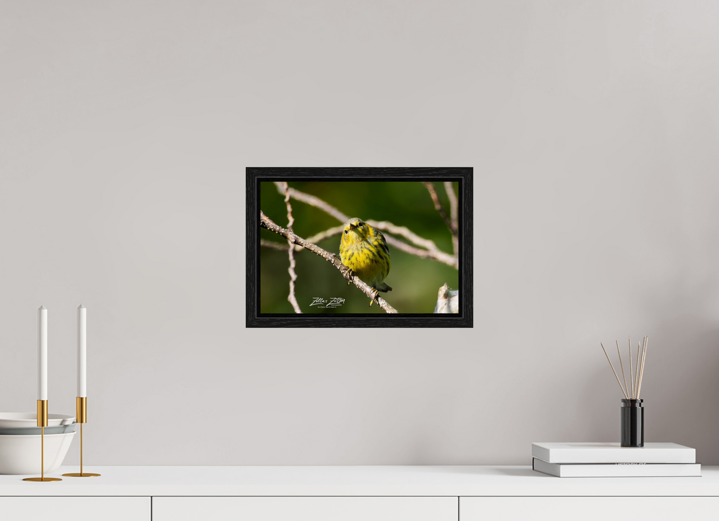 12 x 8″, Floater Frame Zillas Zoom Image 307