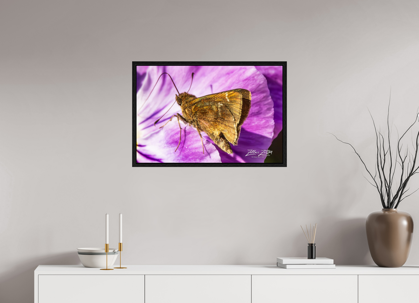 30 x 20″, Floater Frame Zillas Zoom Image 62