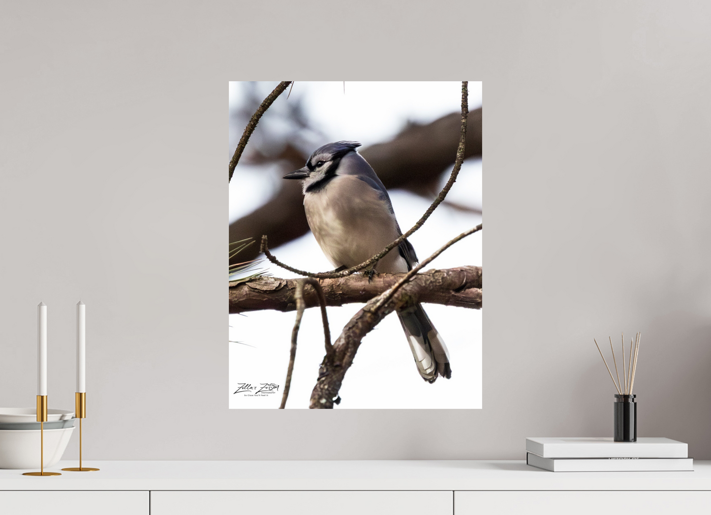 16 x 20.7″, Photo Print On Fuji Crystal DP II Zillas Zoom Image 455
