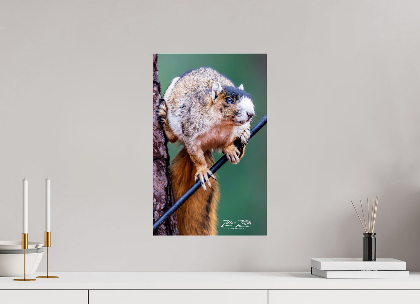 12 x 19.2″, Photo Print Under Acrylic Glass Zillas zoom image 153