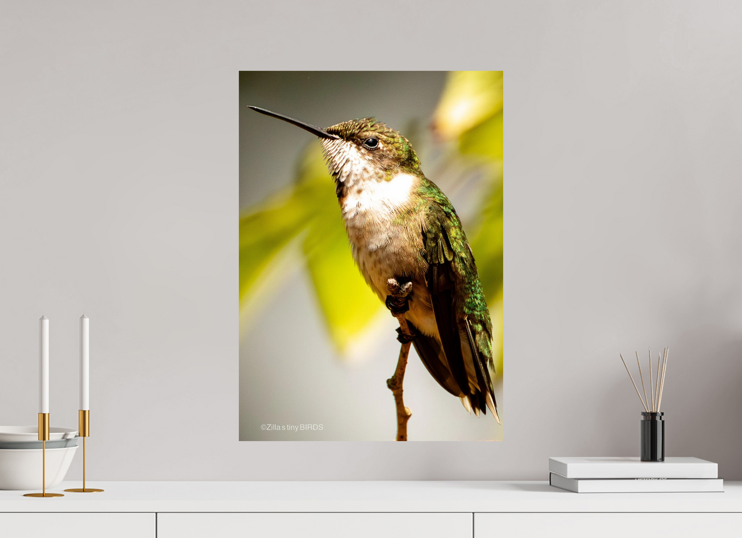 16 x 22.4″, Photo Print On Fuji Crystal DP II Zillas Zoom Image 473