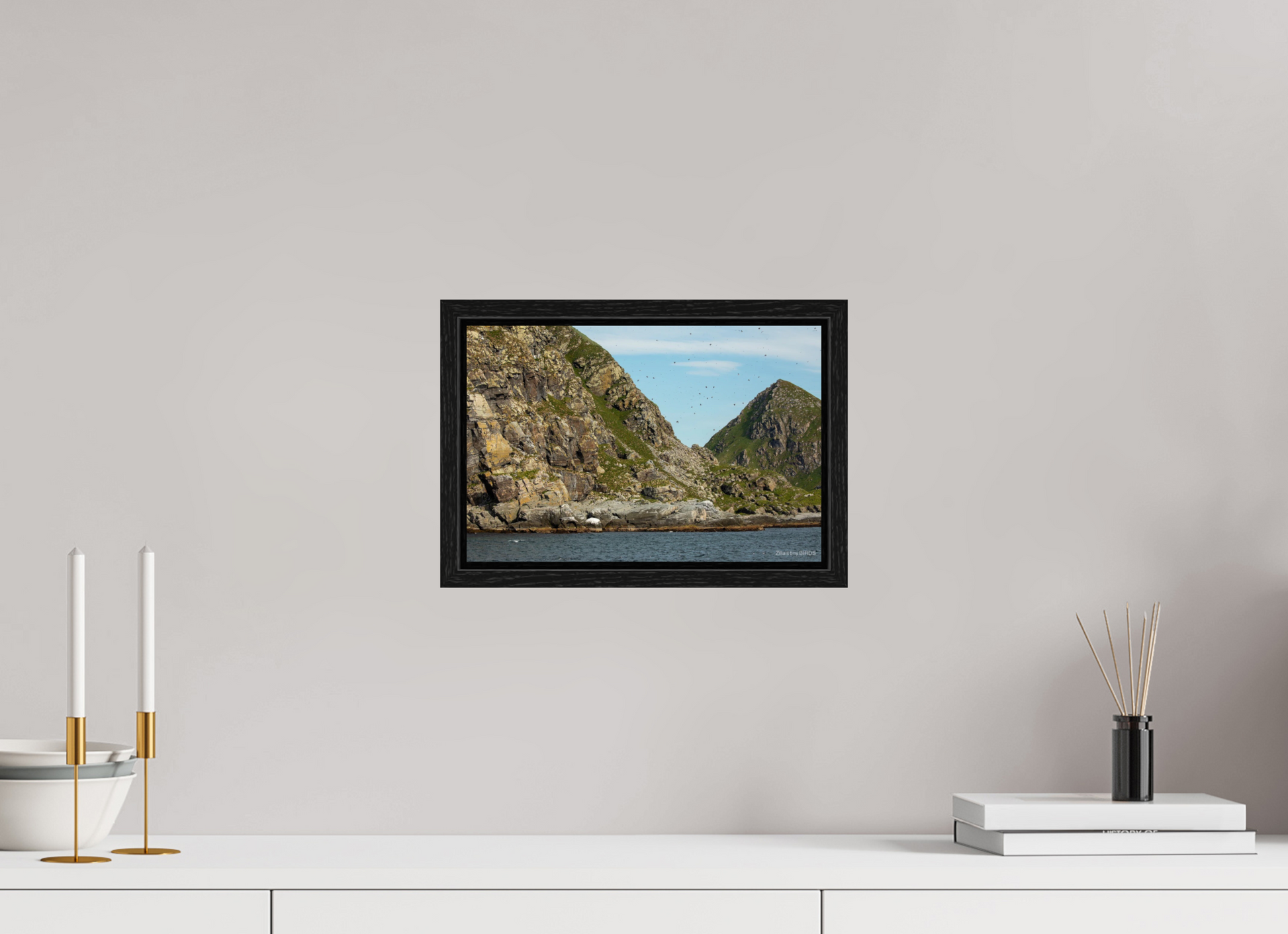 12 x 8″, Floater Frame Zillas Zoom Image 228