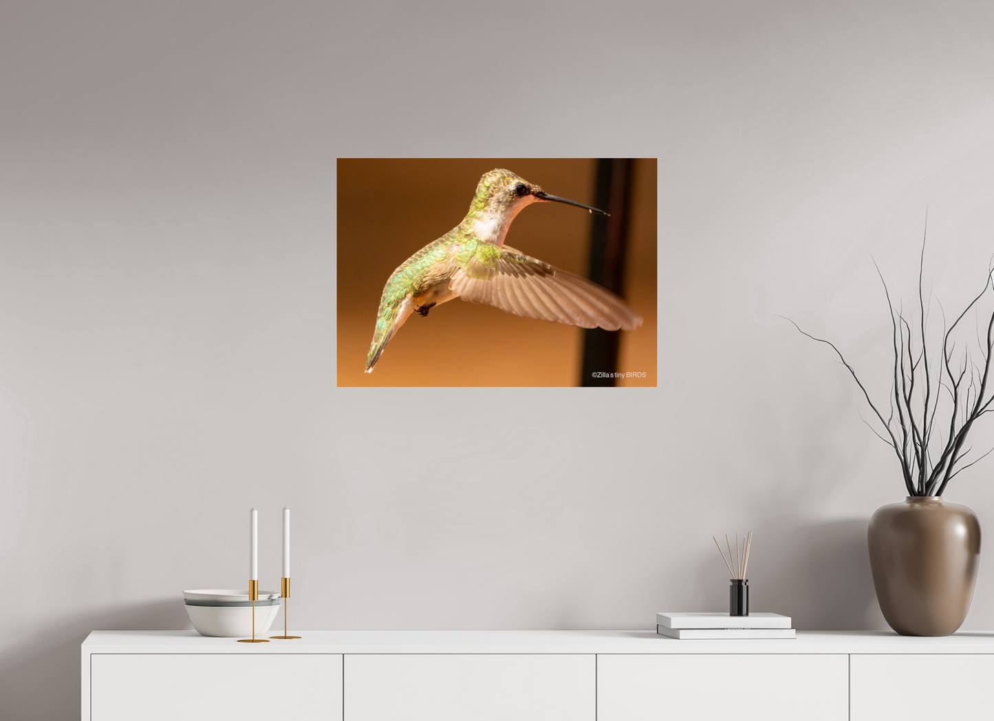 28 x 20″, Photo Print Under Acrylic Glass Zillas Zoom Image 351