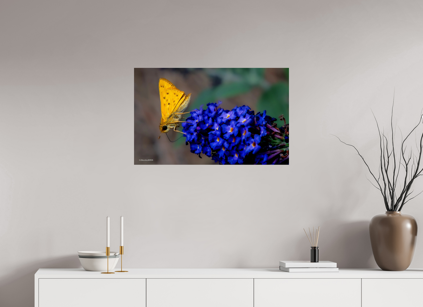 32 x 20″, Photo Print On Fuji Crystal DP II Zillas Zoom Image 61