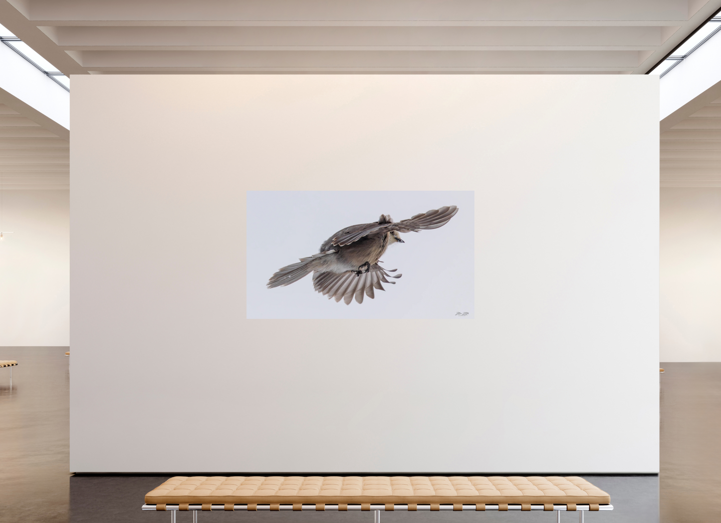 80 x 45″, Photo Print On Fuji Crystal DP II Zillas Zoom Image 352