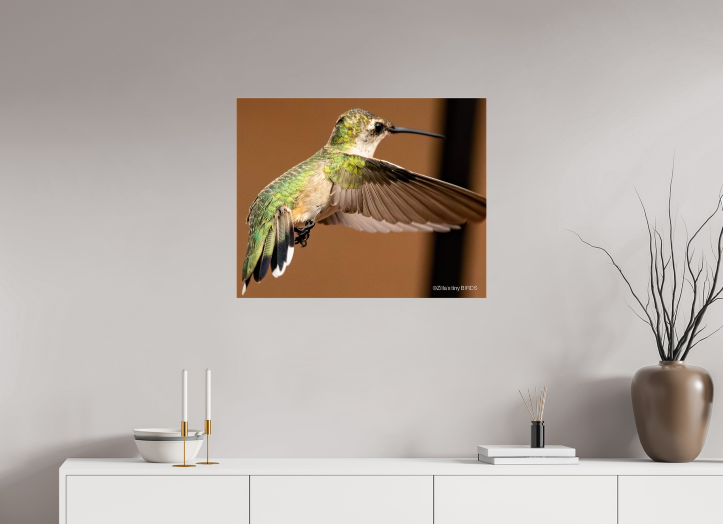 30 x 24″, Photo Print Under Acrylic Glass Zillas Zoom Image 336