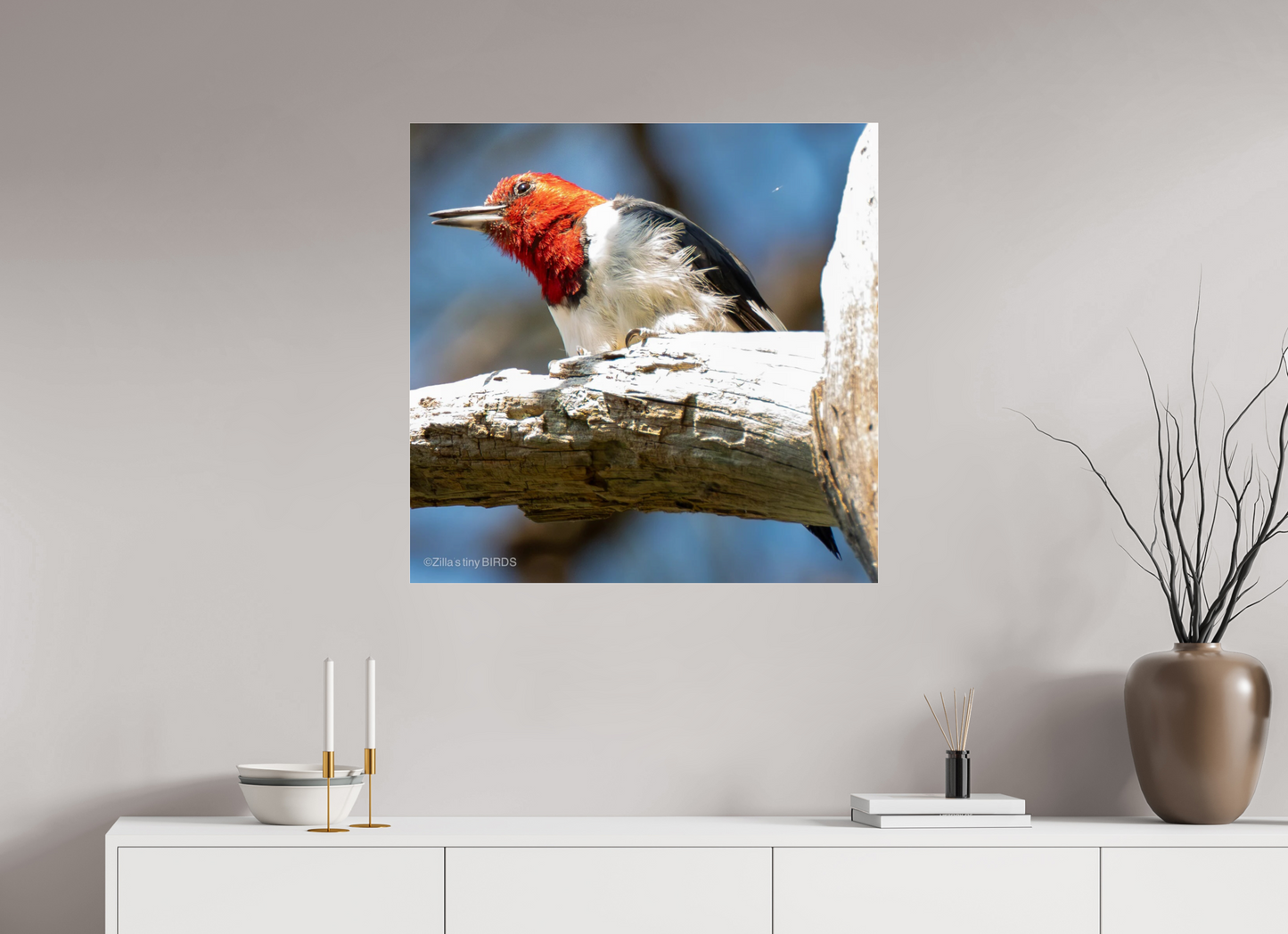 31.5 x 31″, Photo Print Under Acrylic Glass Zillas Zoom Image 273