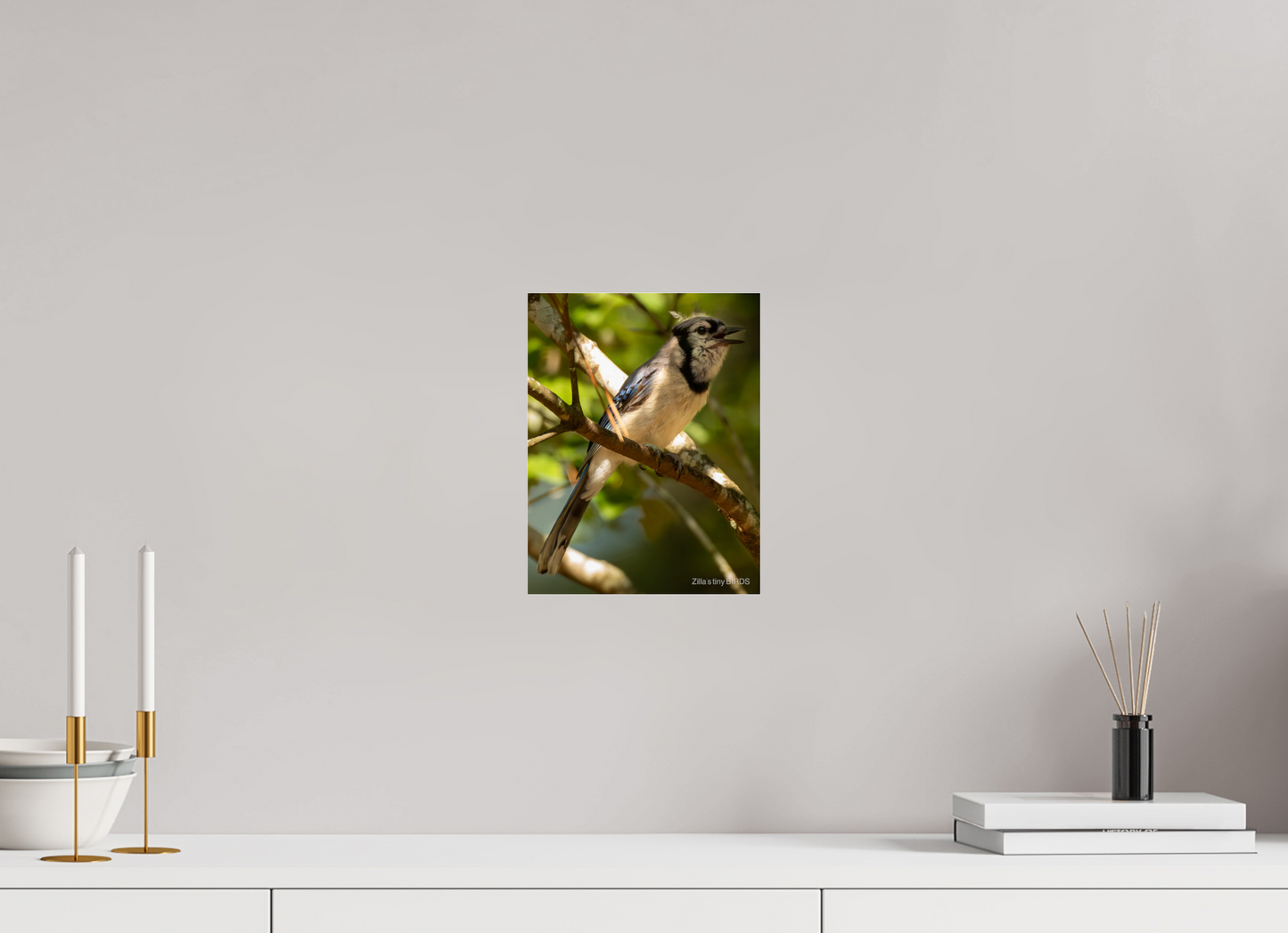 8 x 10.4″, Photo Print Under Acrylic Glass Zillas Zoom Image 517