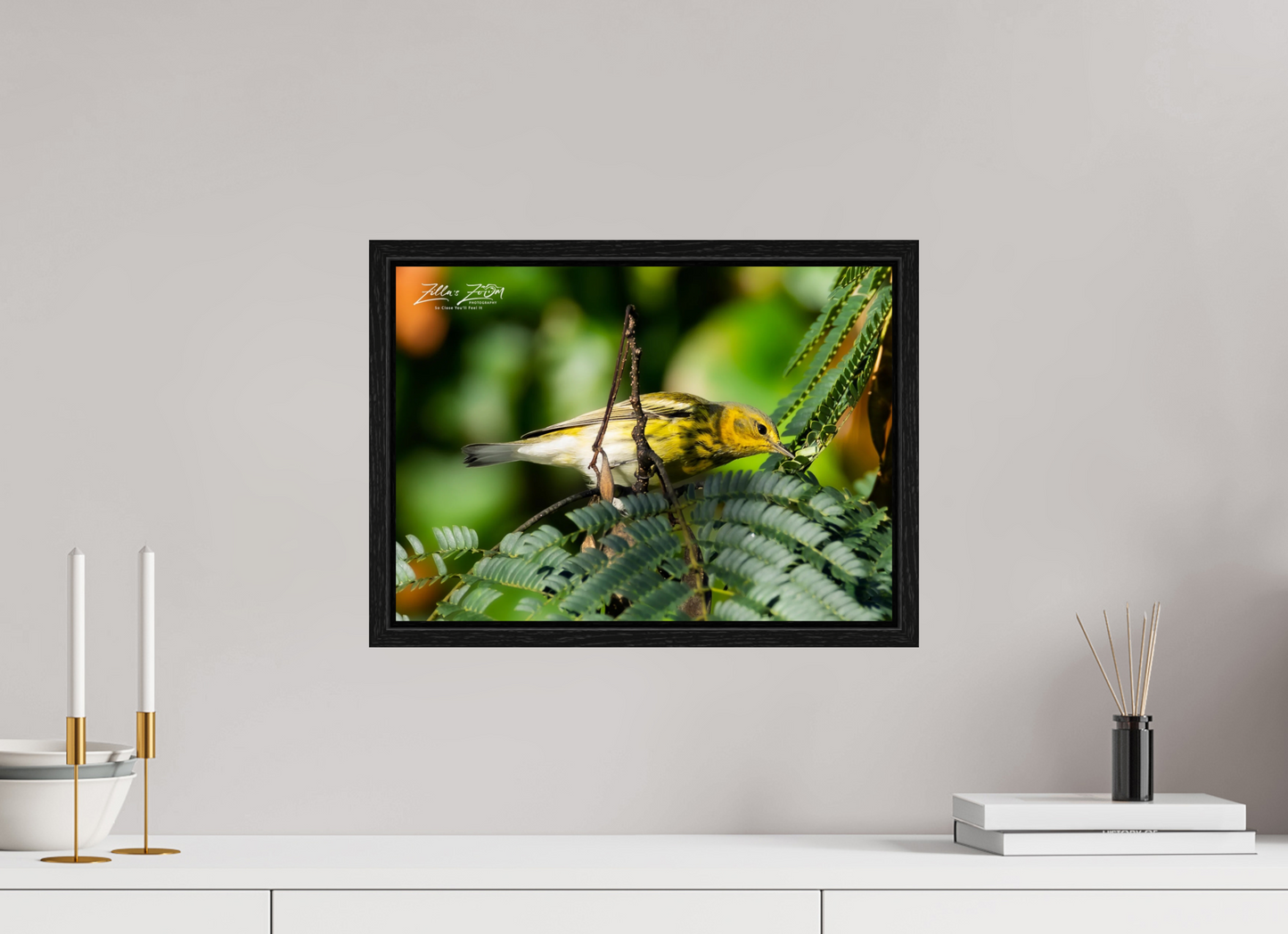 16.8 x 12″, Floater Frame Zillas Zoom Image 288