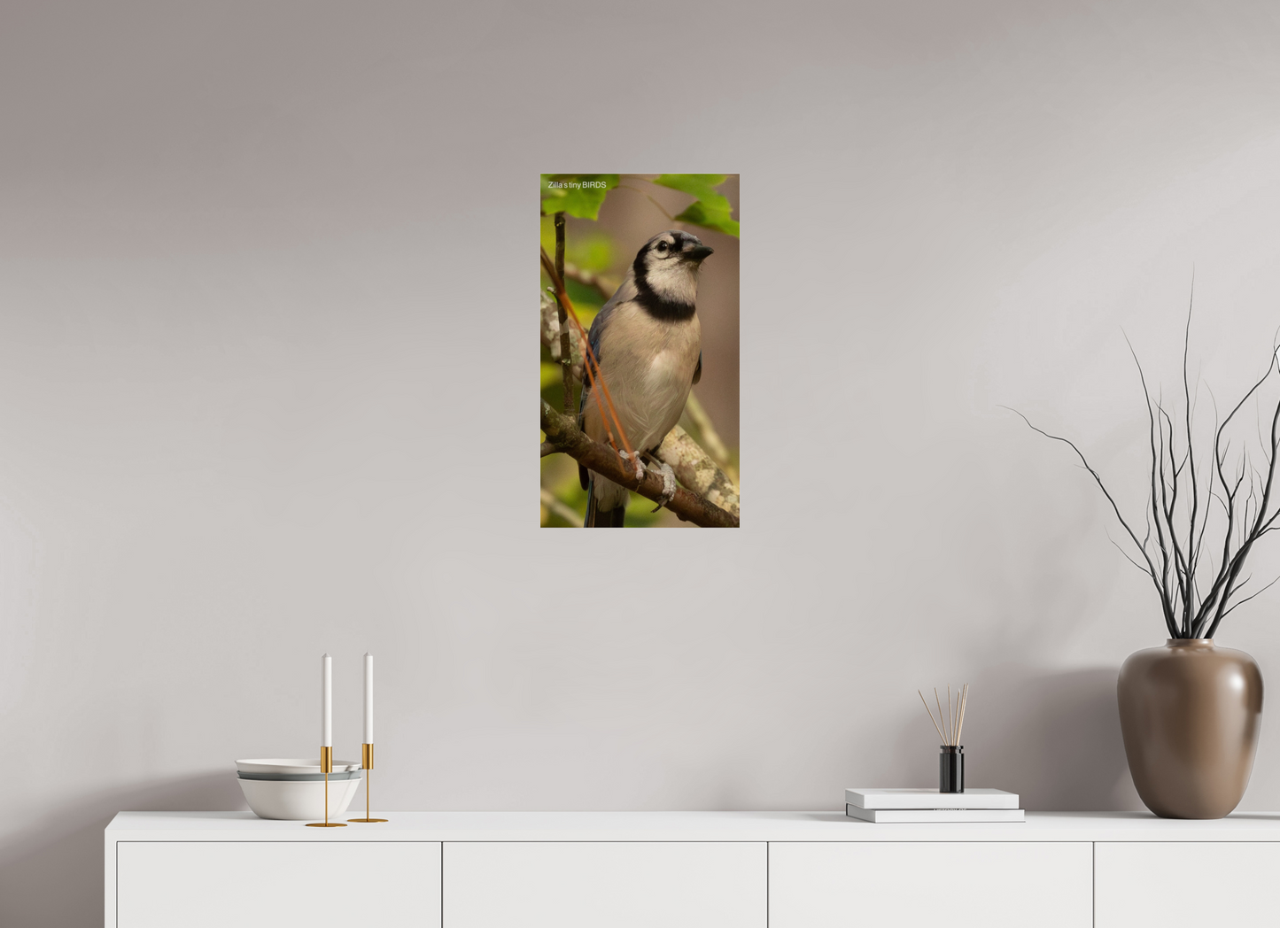 13.5 x 24″, Photo Print Under Acrylic Glass Zillas Zoom Image 493
