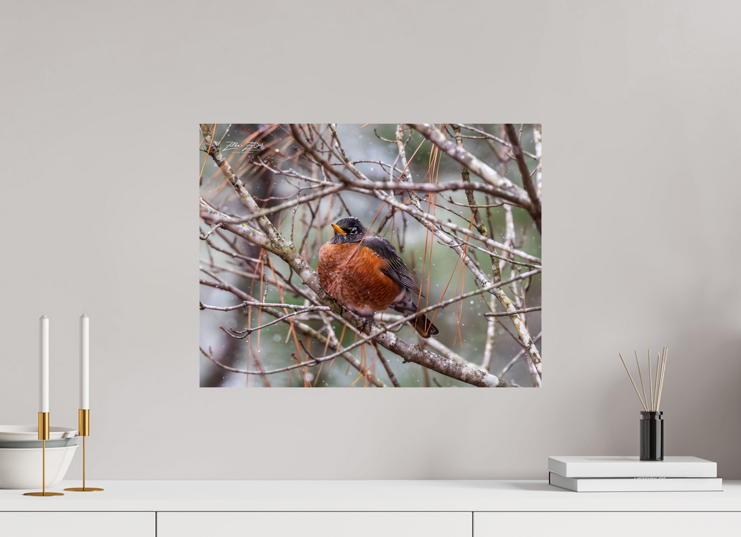 20.7 x 16″, Photo Print On Fuji Crystal DP II Zillas Zoom Image 337