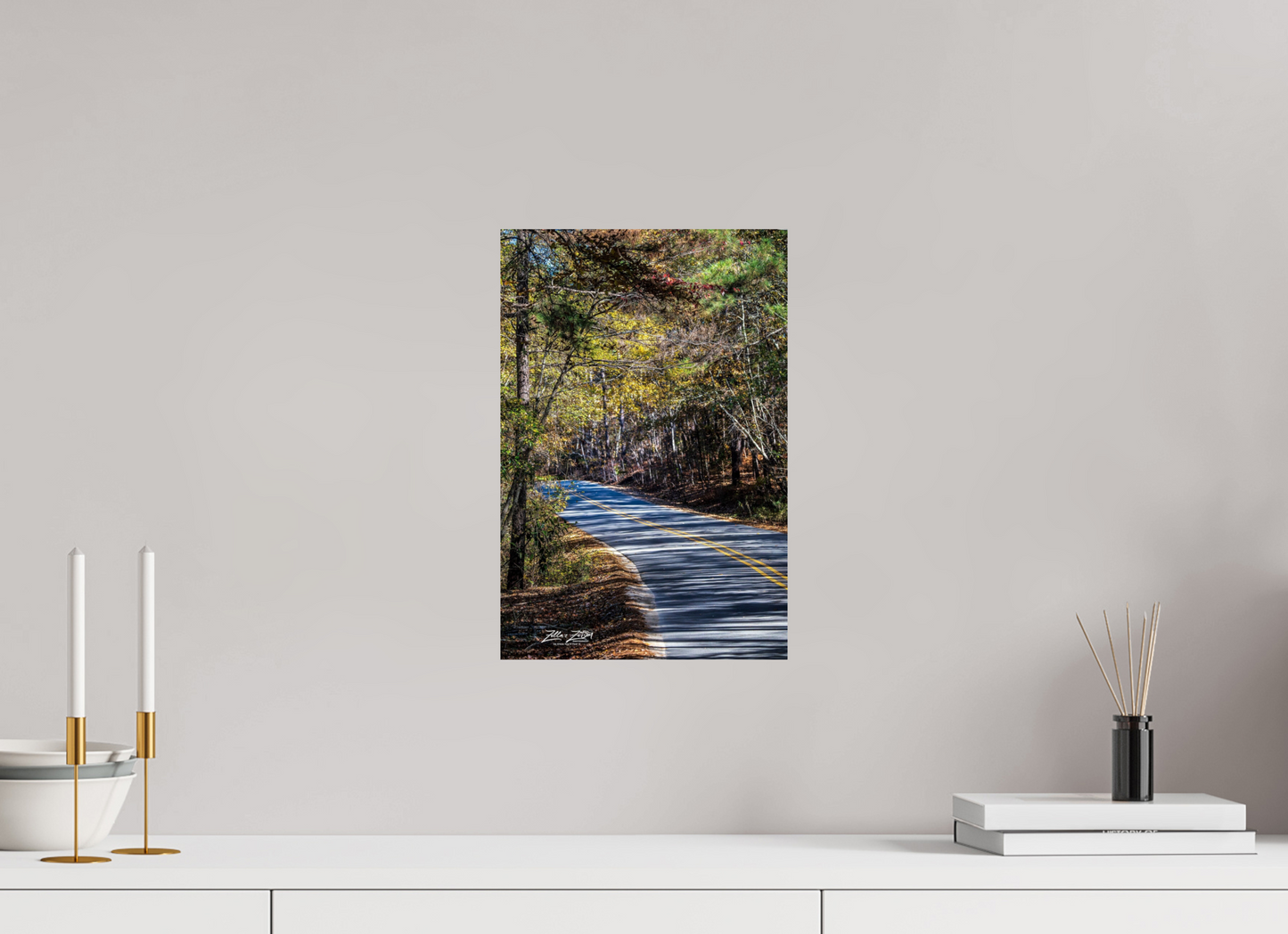 10 x 15″, Photo Print On Fuji Crystal DP II Zillas Zoom Image 264