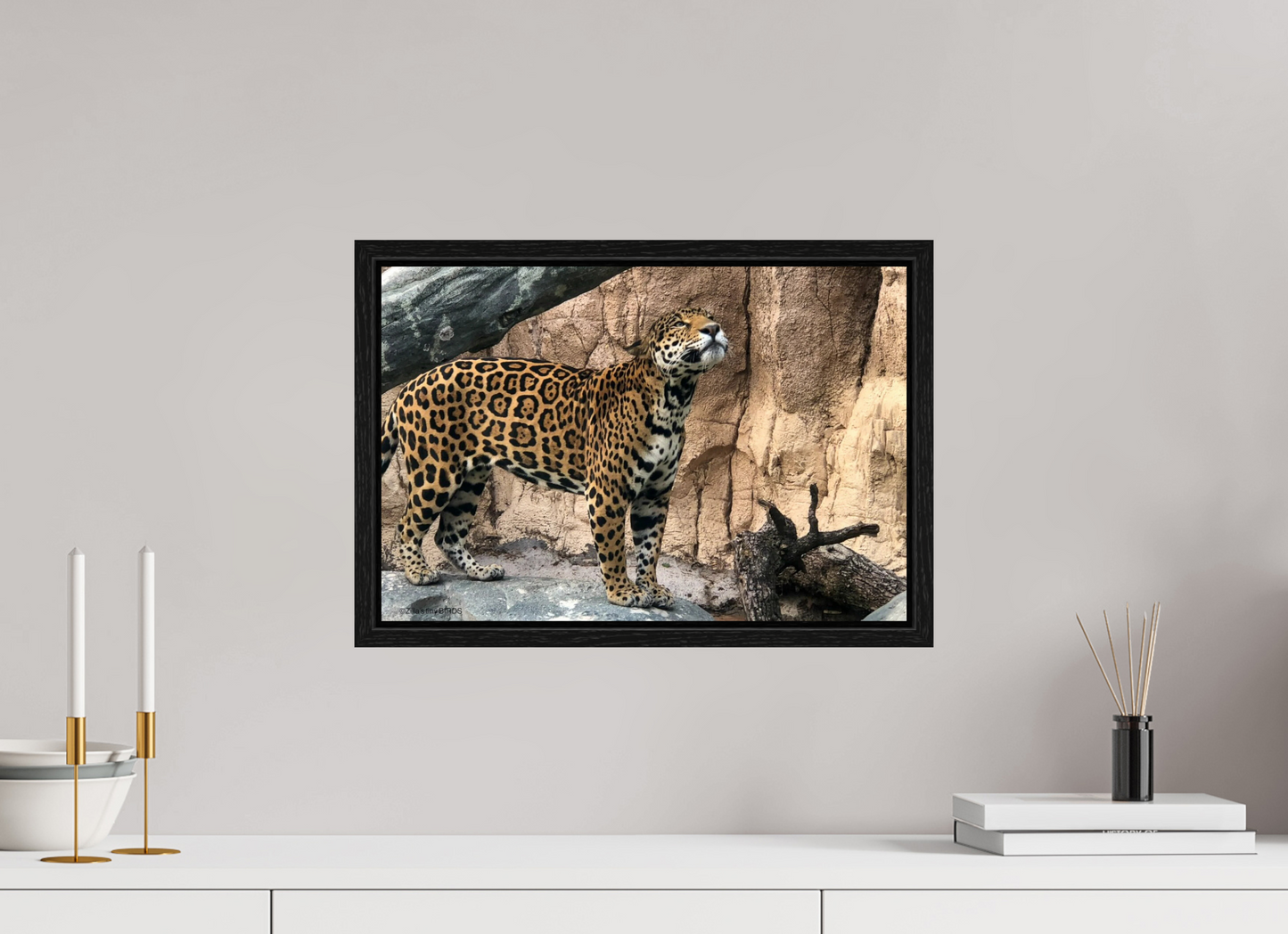 17.8 x 12″, Floater Frame Zillas zoom image 138
