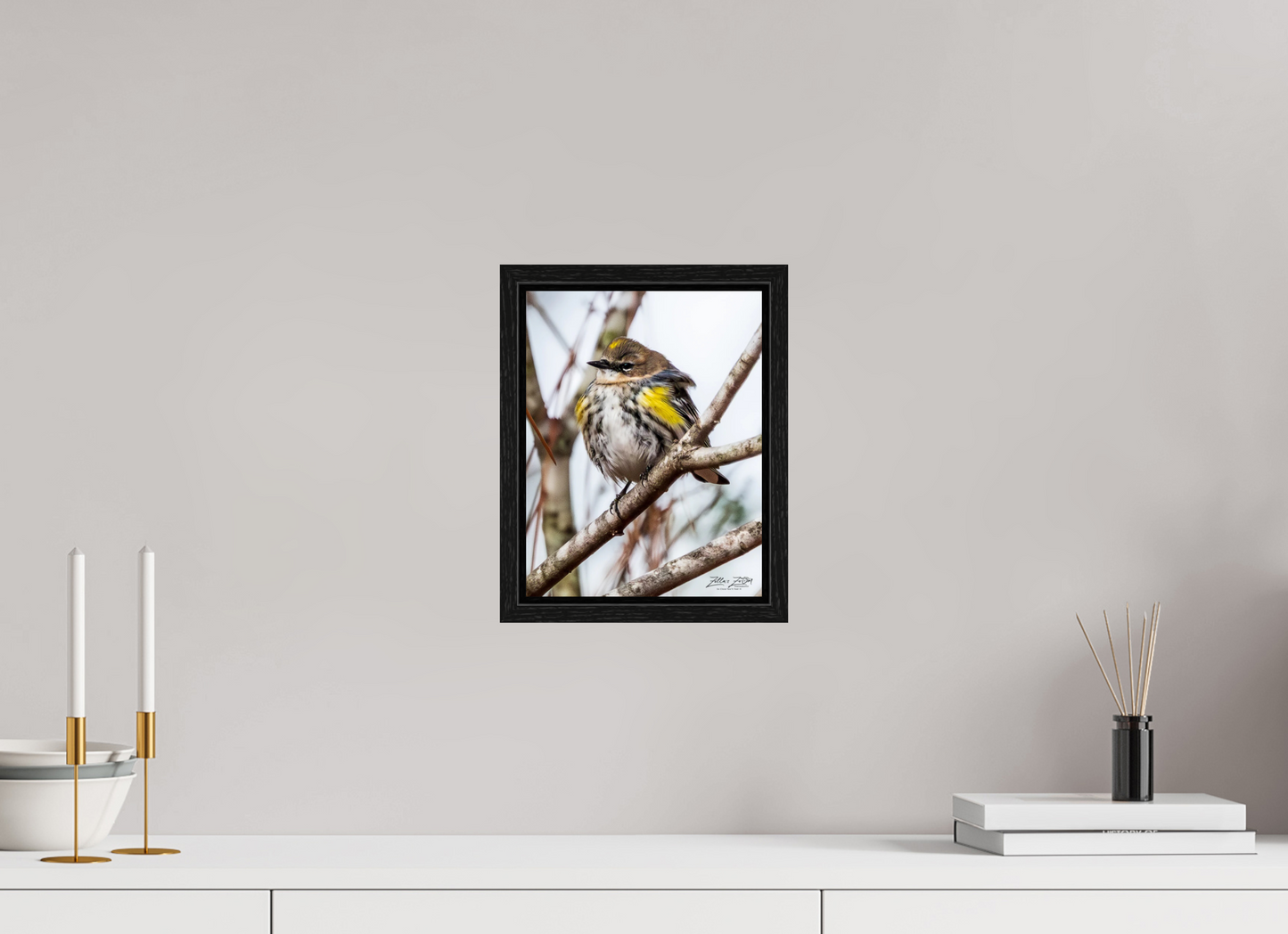 8 x 10.4″, Floater Frame Zillas Zoom Image 501