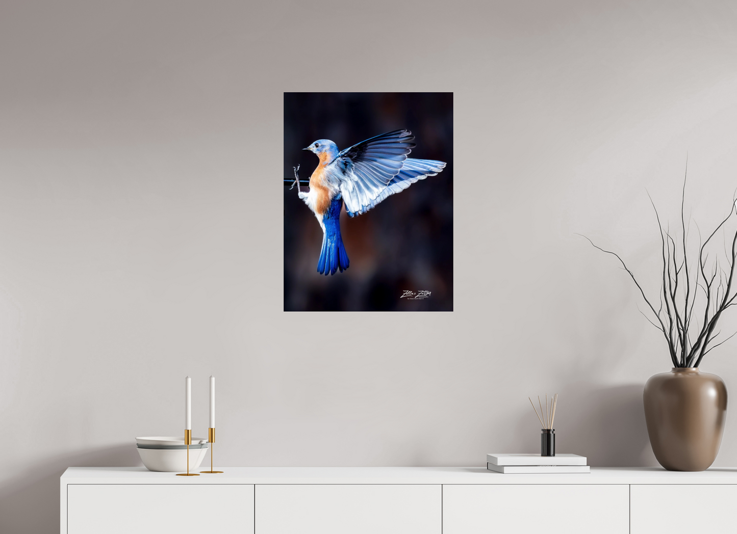 20 x 25.9″, Photo Print Under Acrylic Glass Zillas Zoom Image 513