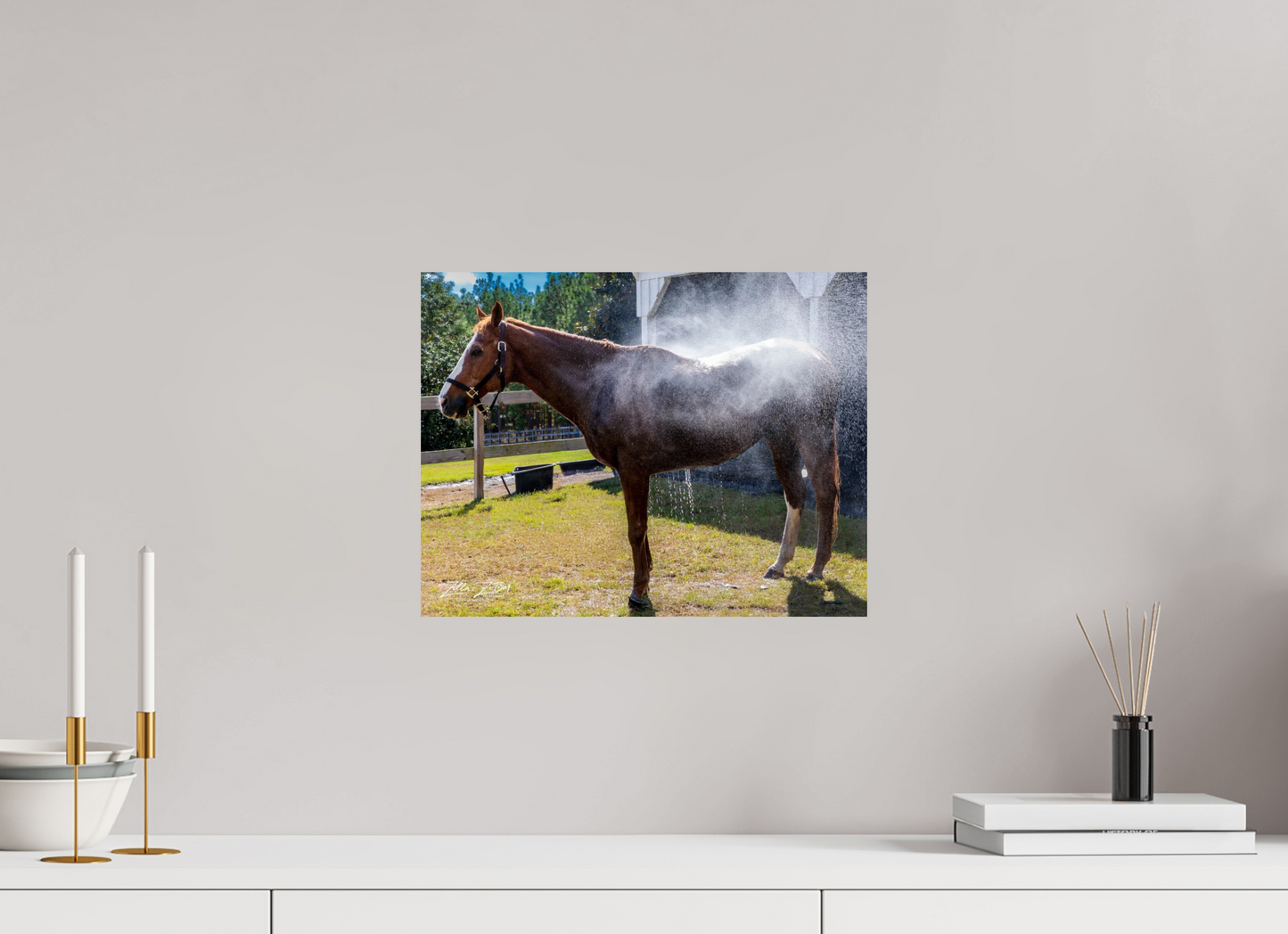 15.6 x 12″, Photo Print On Fuji Crystal DP II Zillas zoom image 145