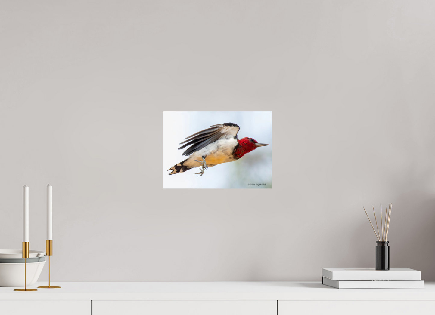 11.2 x 8″, Photo Print On Fuji Crystal DP II Zillas Zoom Image 325