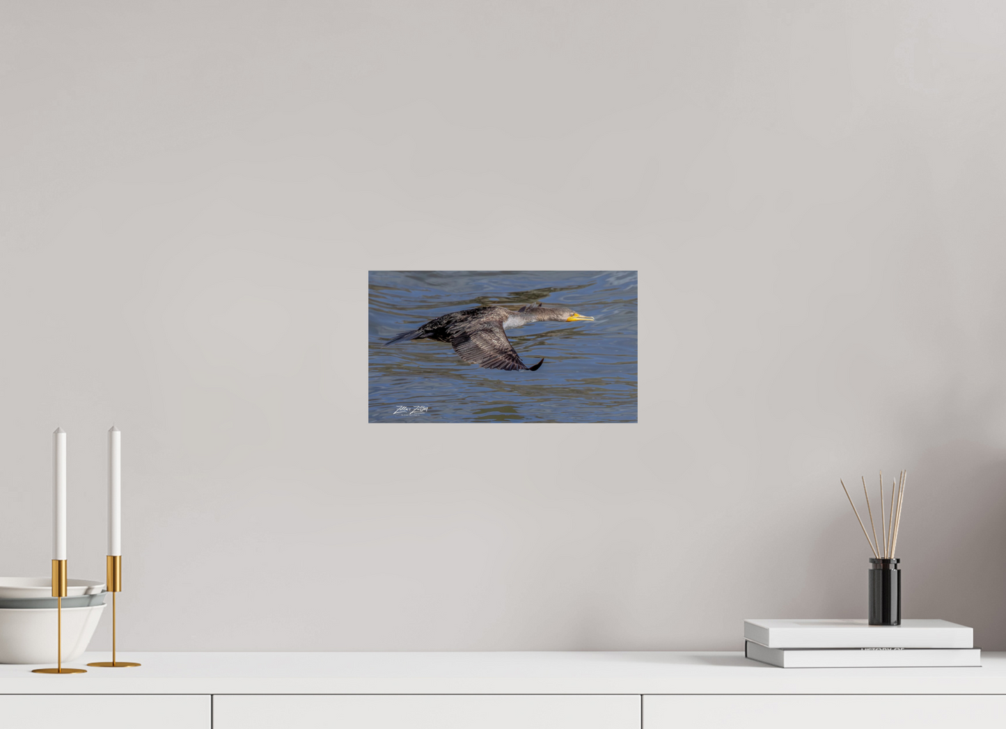 12 x 6.8″, Photo Print On Fuji Crystal DP II Zillas Zoom Image 291