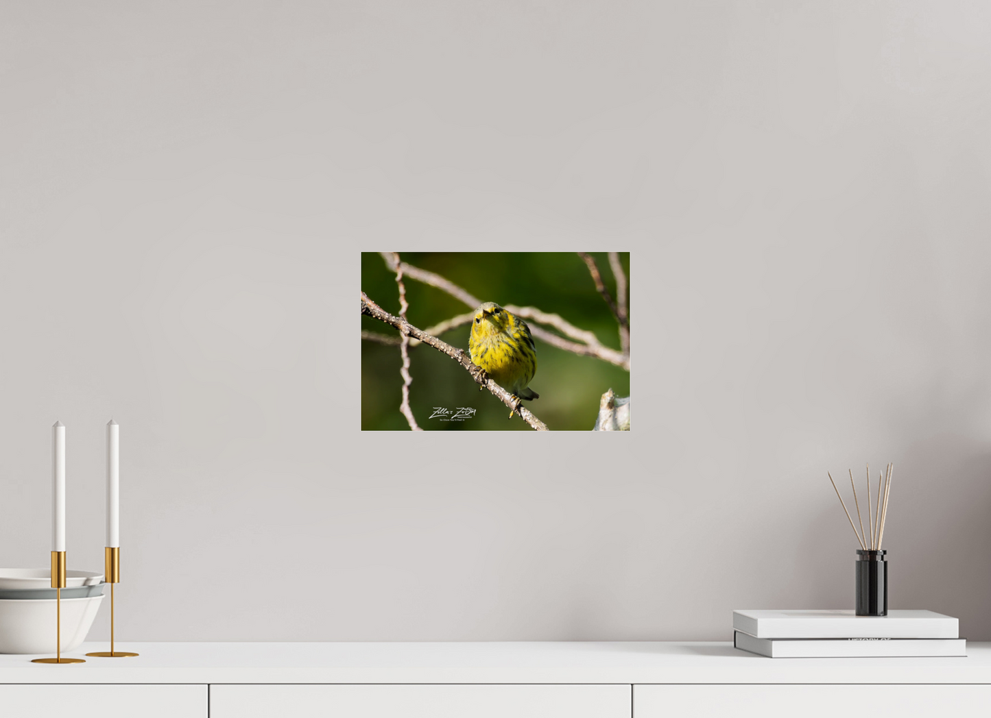 12 x 8″, Photo Print Under Acrylic Glass Zillas Zoom Image 307