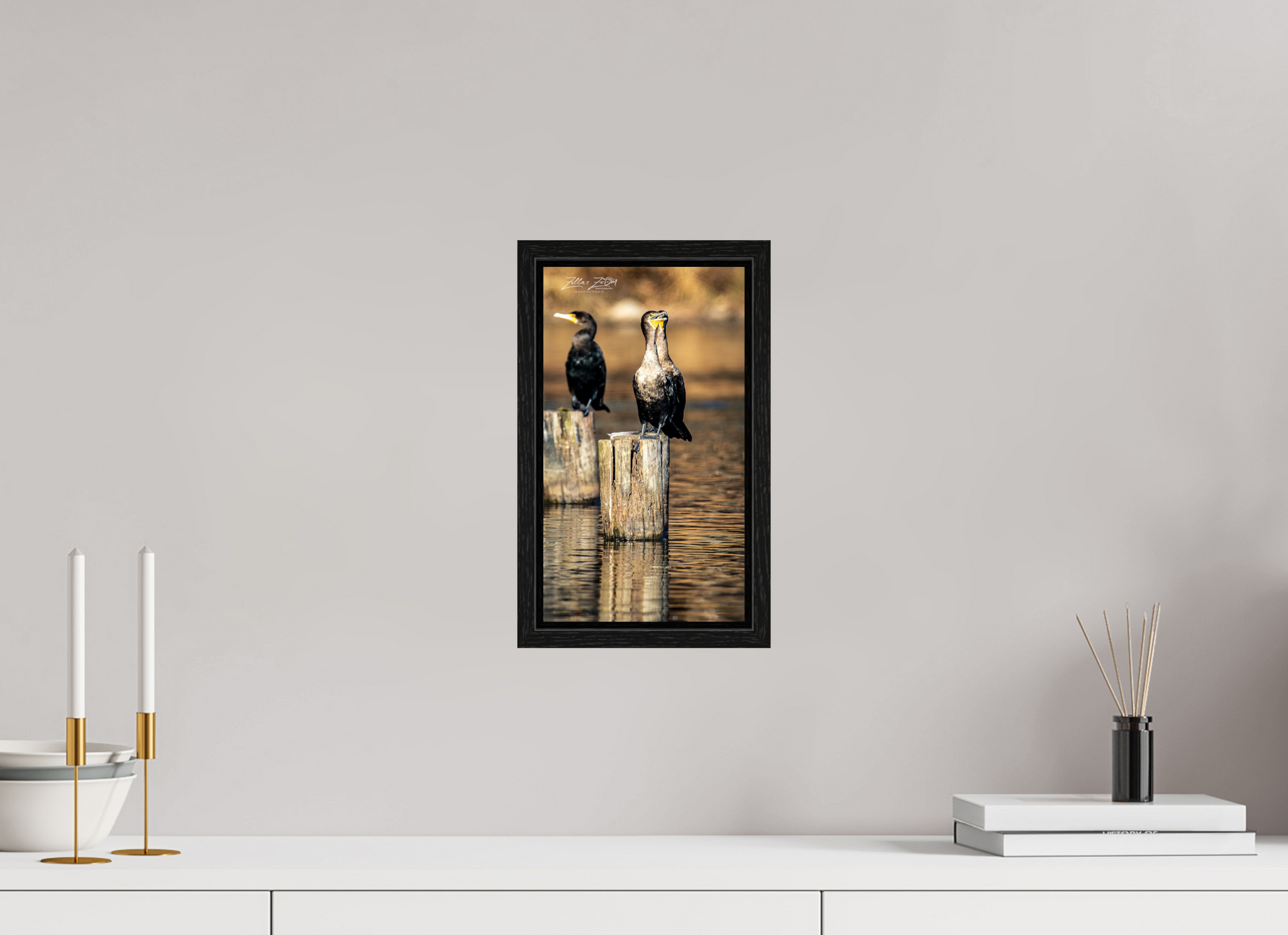 6.8 x 12″, Floater Frame Zillas Zoom Image 426