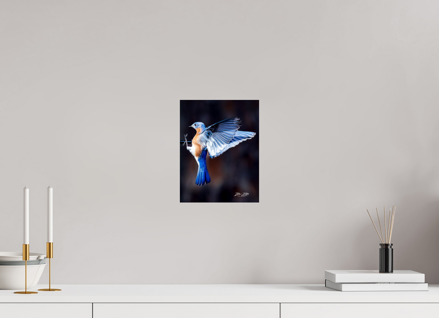 8 x 10.4″, Photo Print Under Acrylic Glass Zillas Zoom Image 513