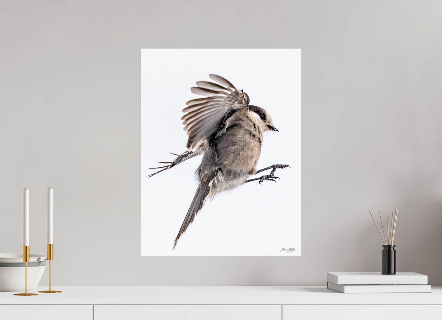 16 x 20.7″, Photo Print Under Acrylic Glass Zillas Zoom Image 525