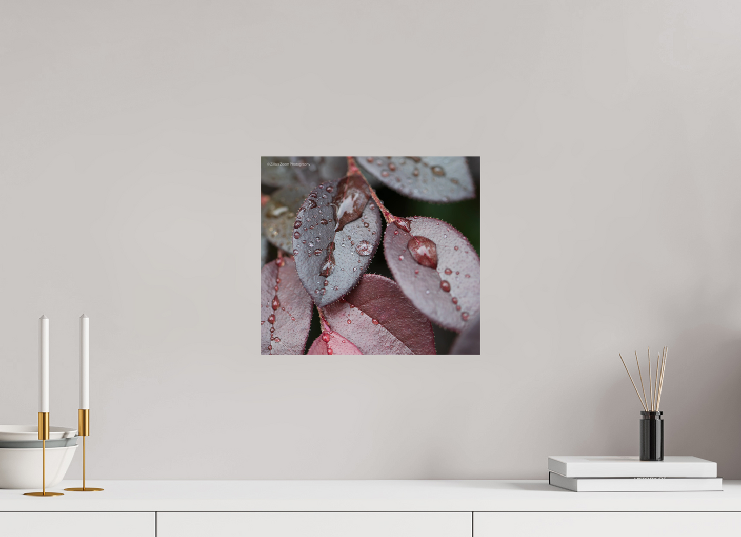 13.3 x 12″, Photo Print On Fuji Crystal DP II Zillas Zoom Image 99