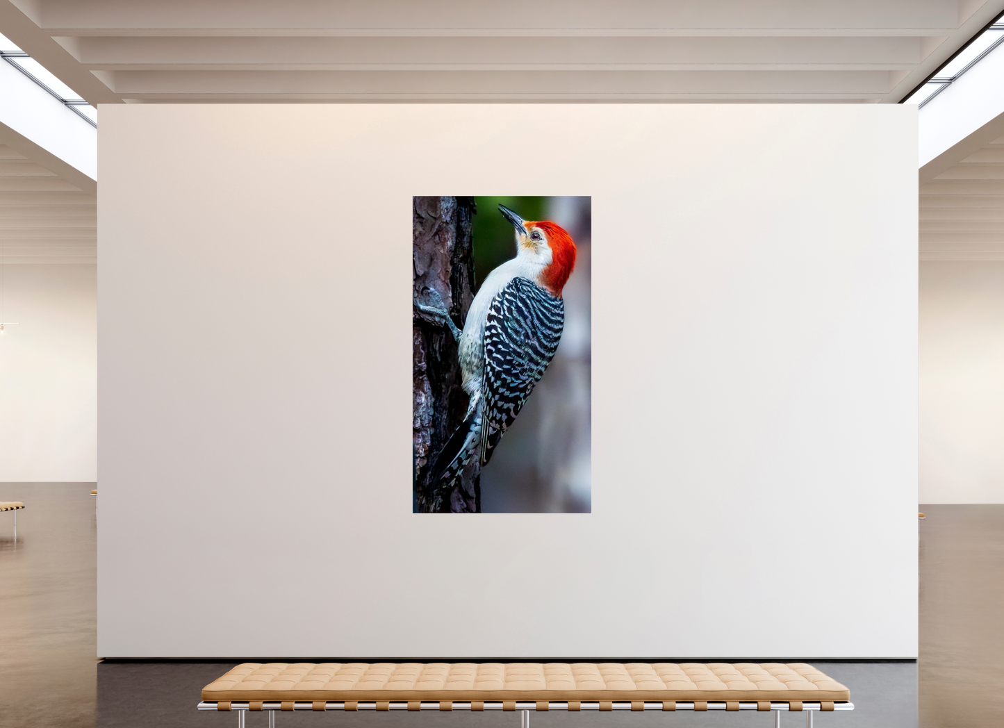 45 x 80″, Photo Print On Fuji Crystal DP II Zillas Zoom Image 447