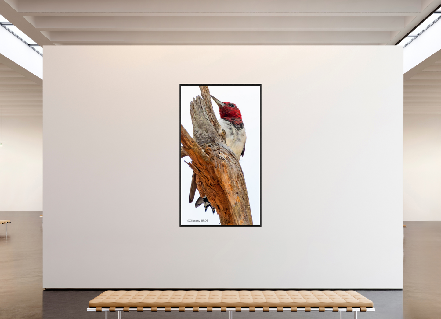 45 x 80″, Floater Frame Zillas Zoom Image 439