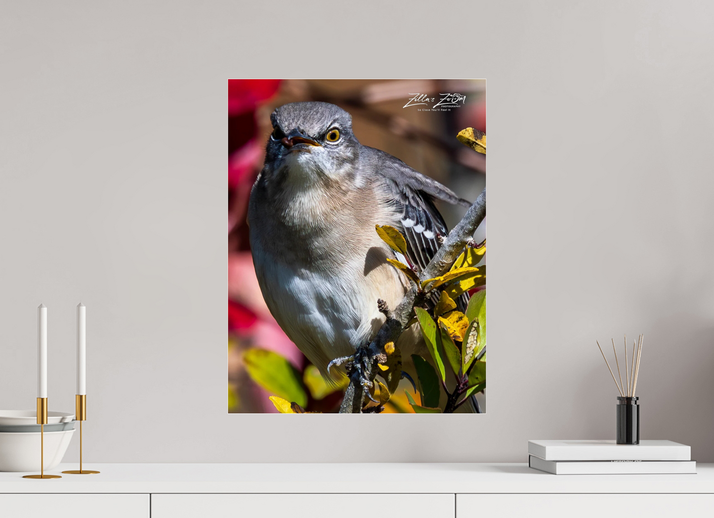 16 x 20.7″, Photo Print Under Acrylic Glass Zillas Zoom Image 402