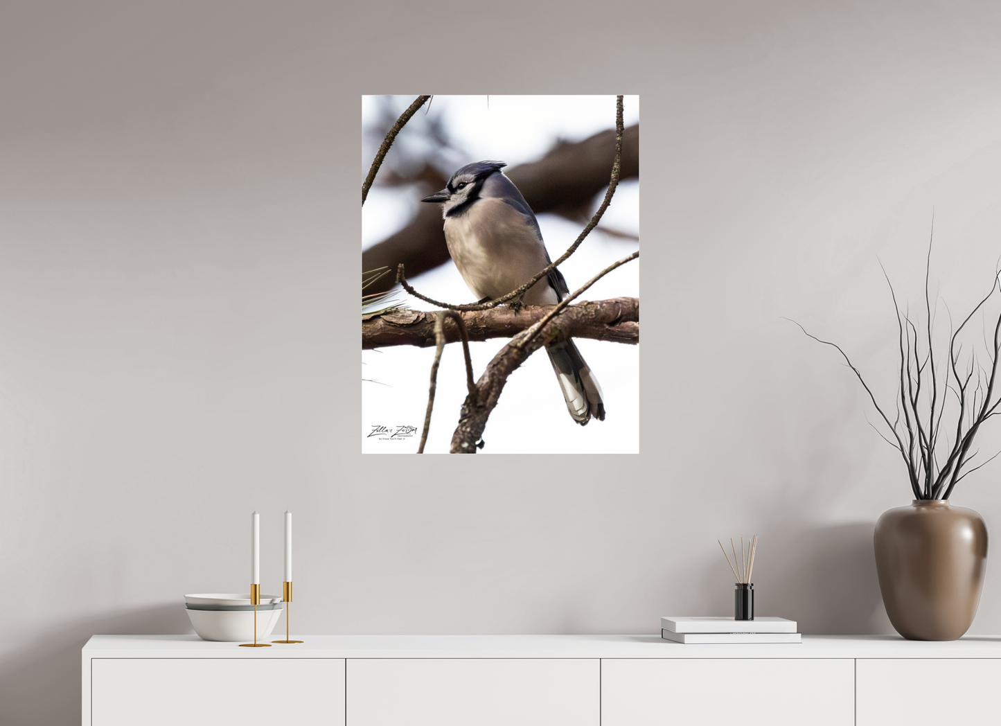 24 x 31.1″, Photo Print Under Acrylic Glass Zillas Zoom Image 455