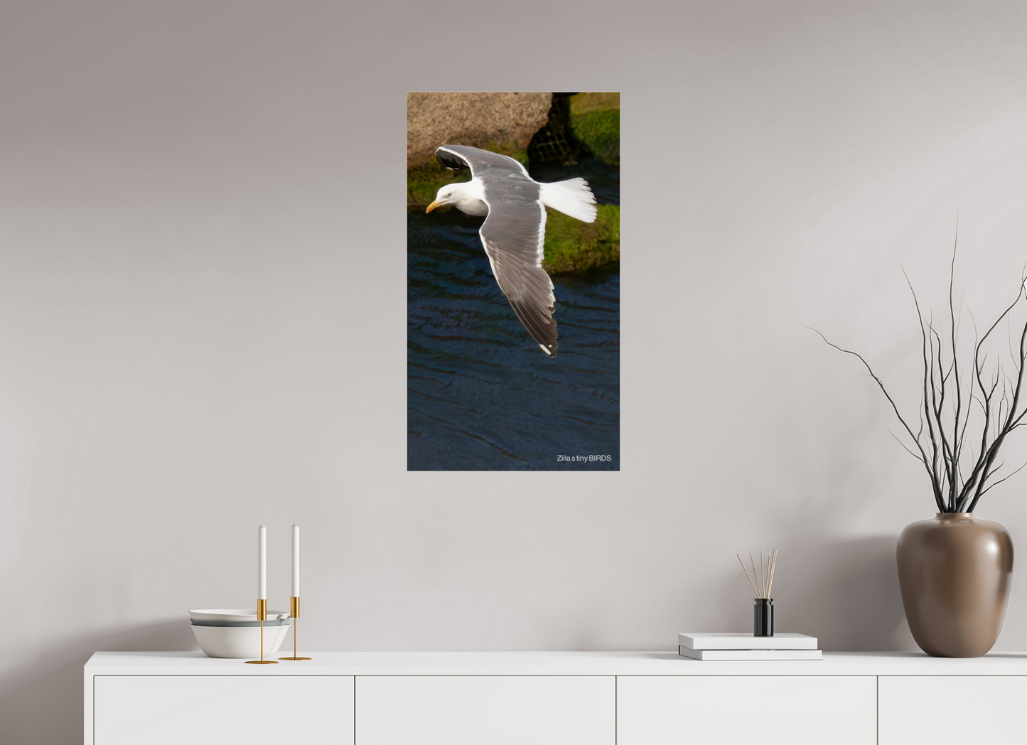 18 x 32″, Photo Print Under Acrylic Glass Zillas Zoom Image 476