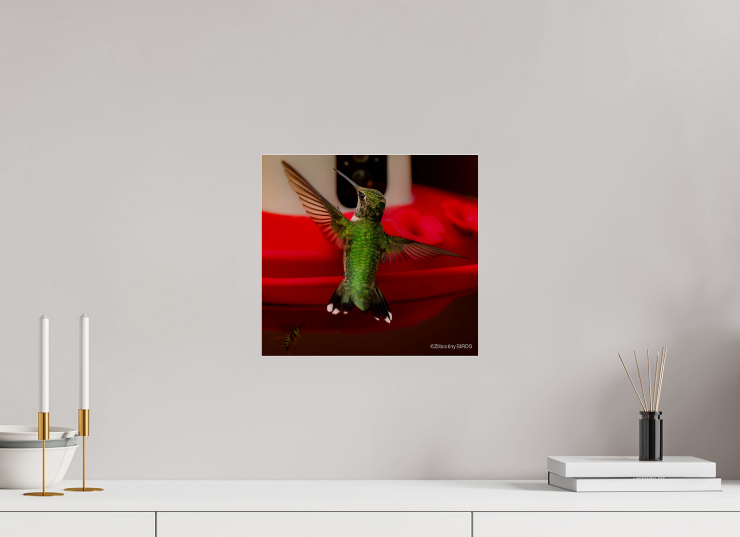 13 x 12″, Photo Print Under Acrylic Glass Zillas Zoom Image 364