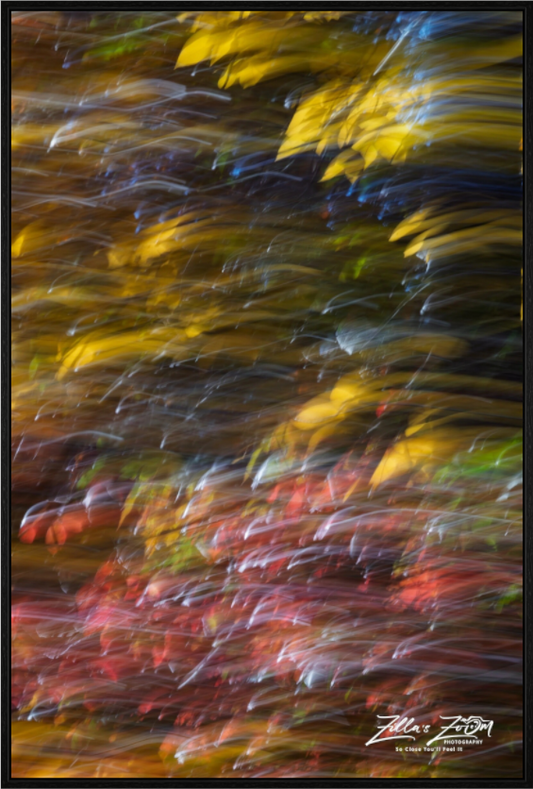 Main image Zillas Zoom Image 30