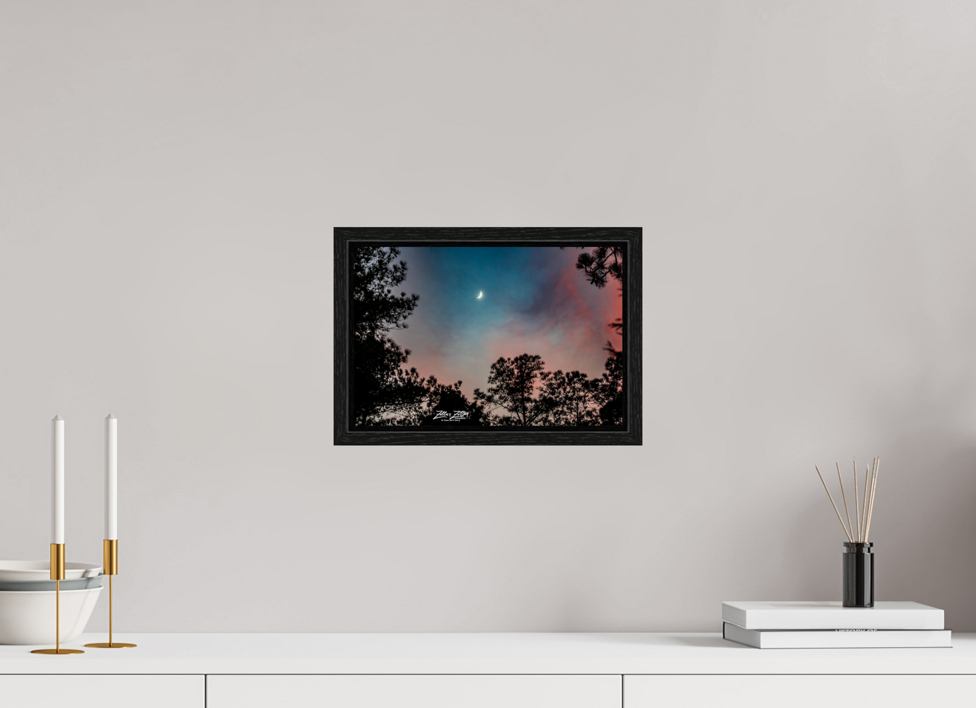 12 x 8″, Floater Frame Zillas zoom image 129