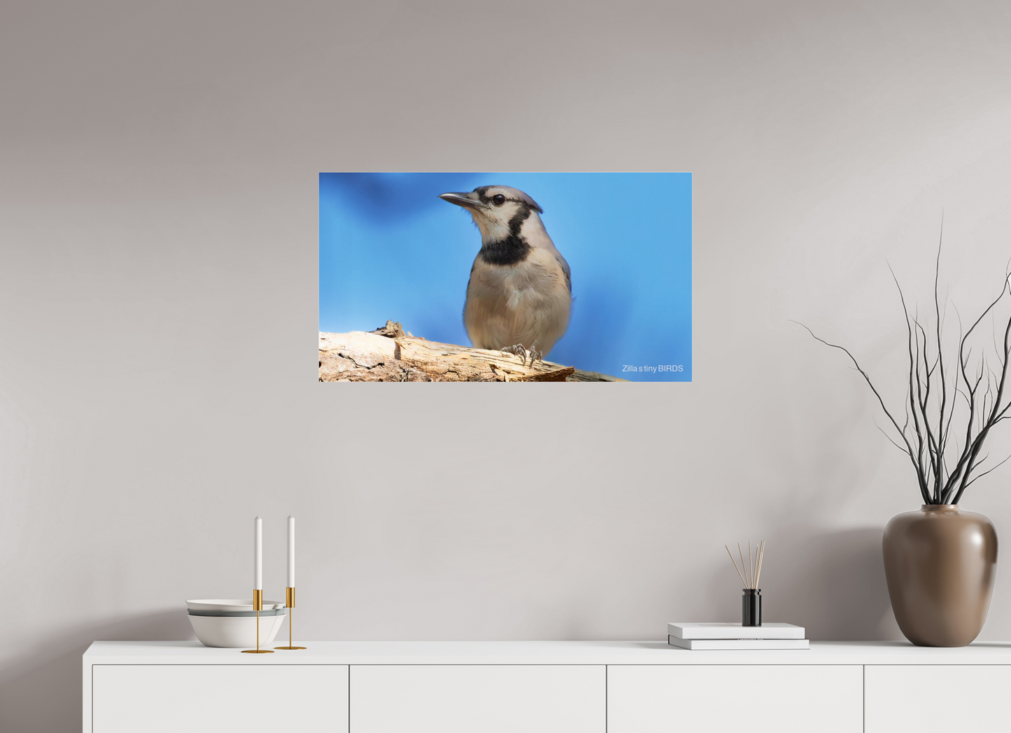 32 x 18″, Photo Print Under Acrylic Glass Zillas Zoom Image 384