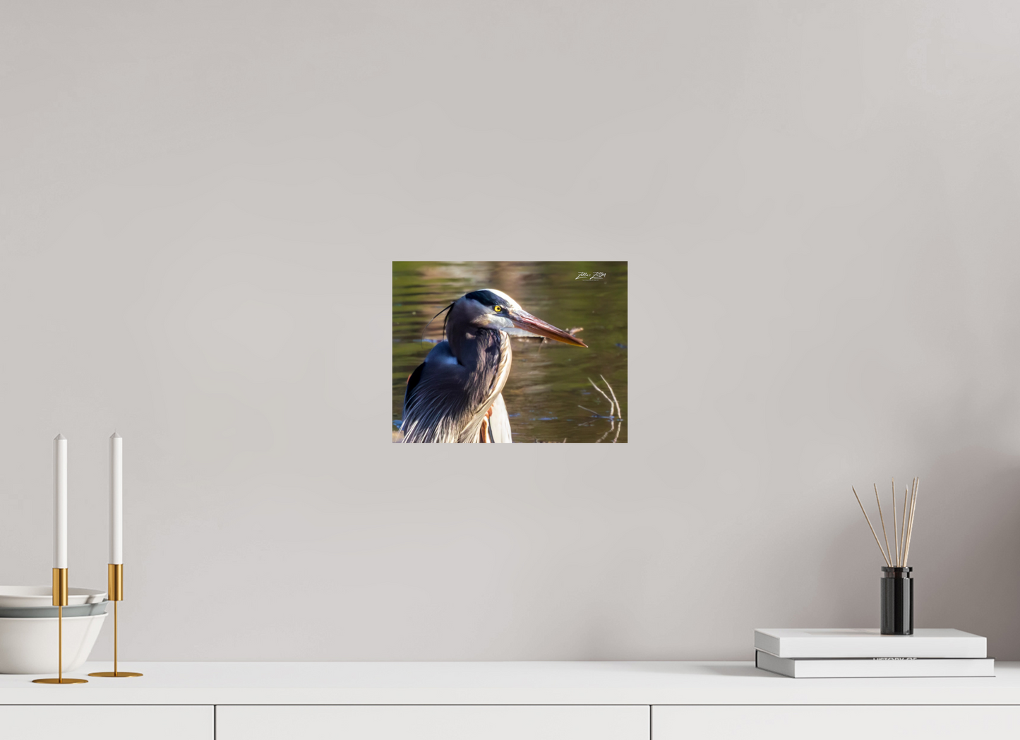 10.4 x 8″, Photo Print On Fuji Crystal DP II Zillas Zoom Image 267