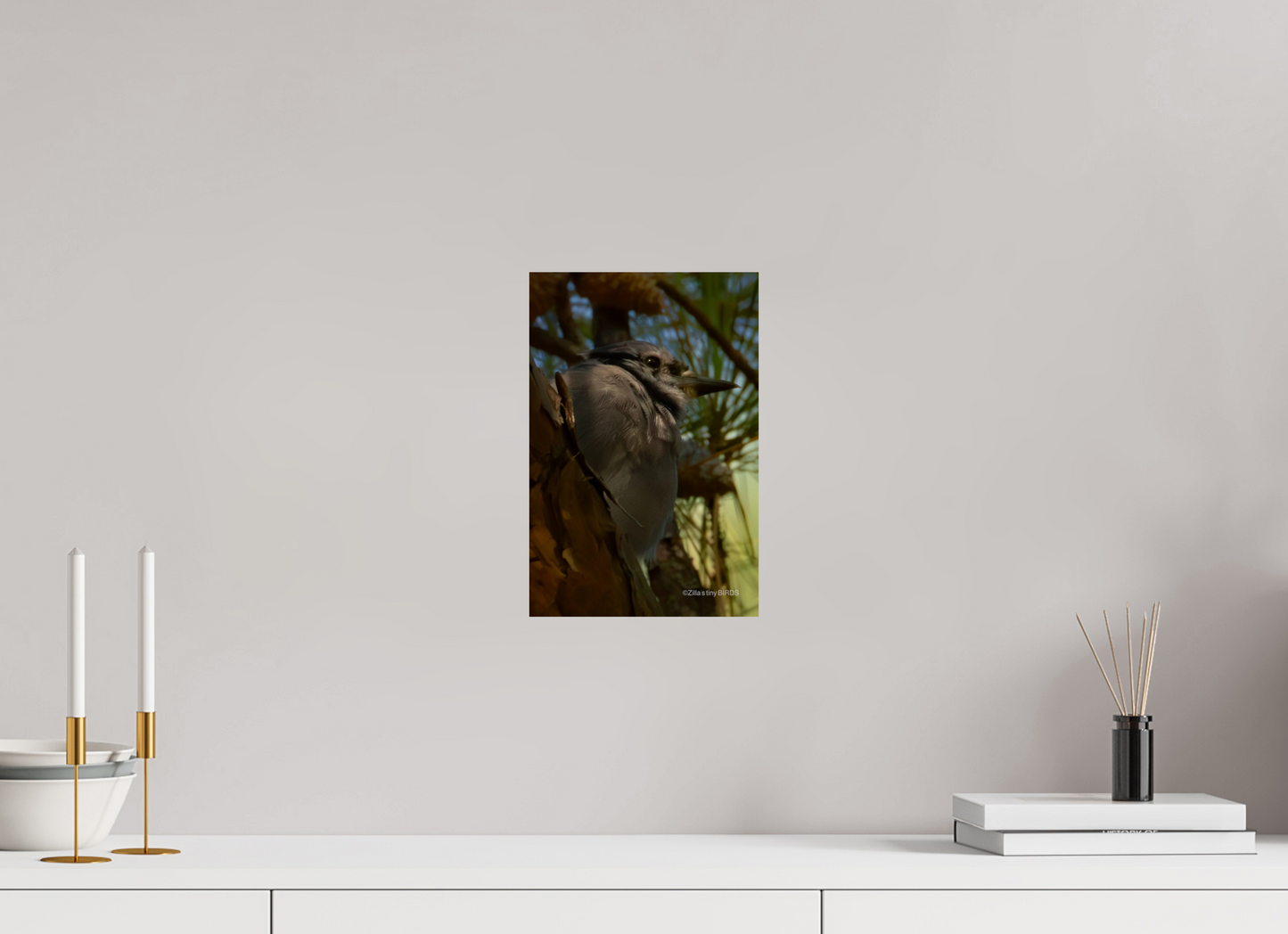 8 x 12″, Photo Print On Fuji Crystal DP II Zillas Zoom Image 401