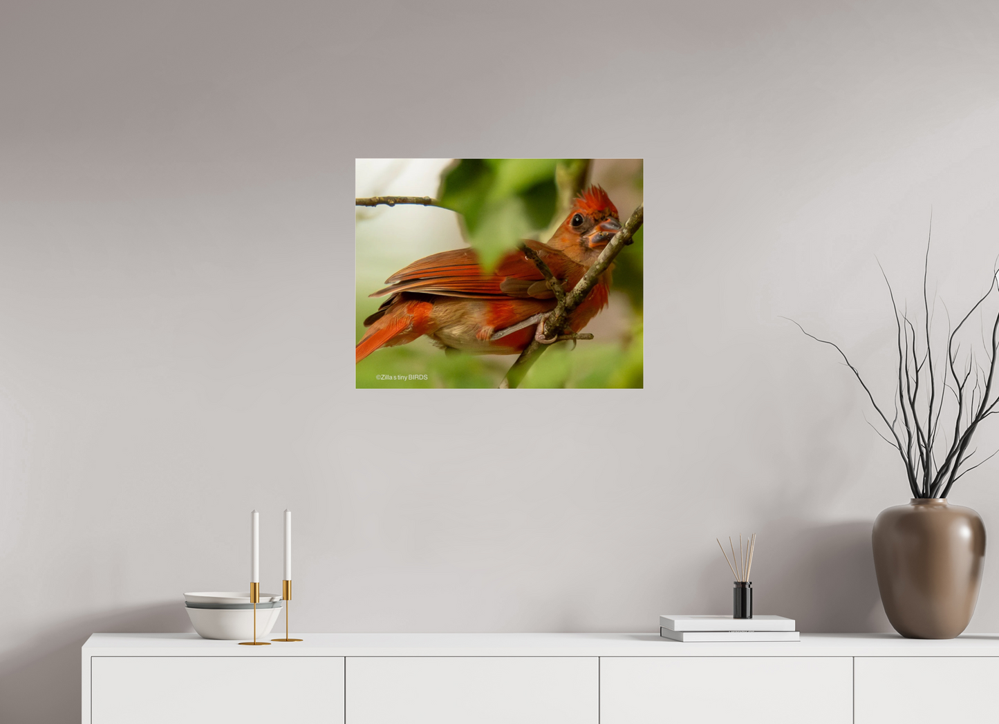25 x 20″, Photo Print Under Acrylic Glass Zillas Zoom Image 317