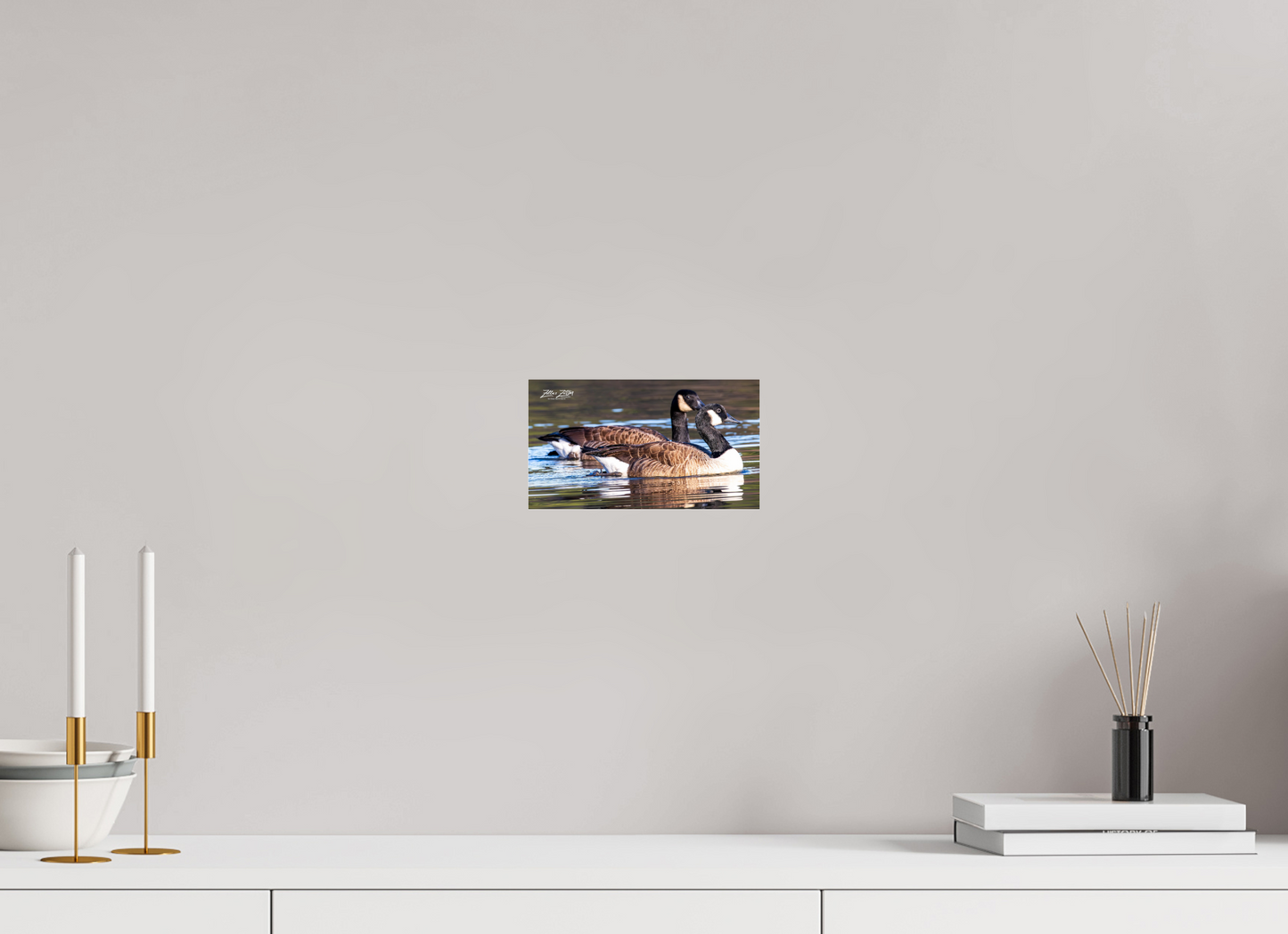 8 x 4.5″, Photo Print Under Acrylic Glass Zillas Zoom Image 278
