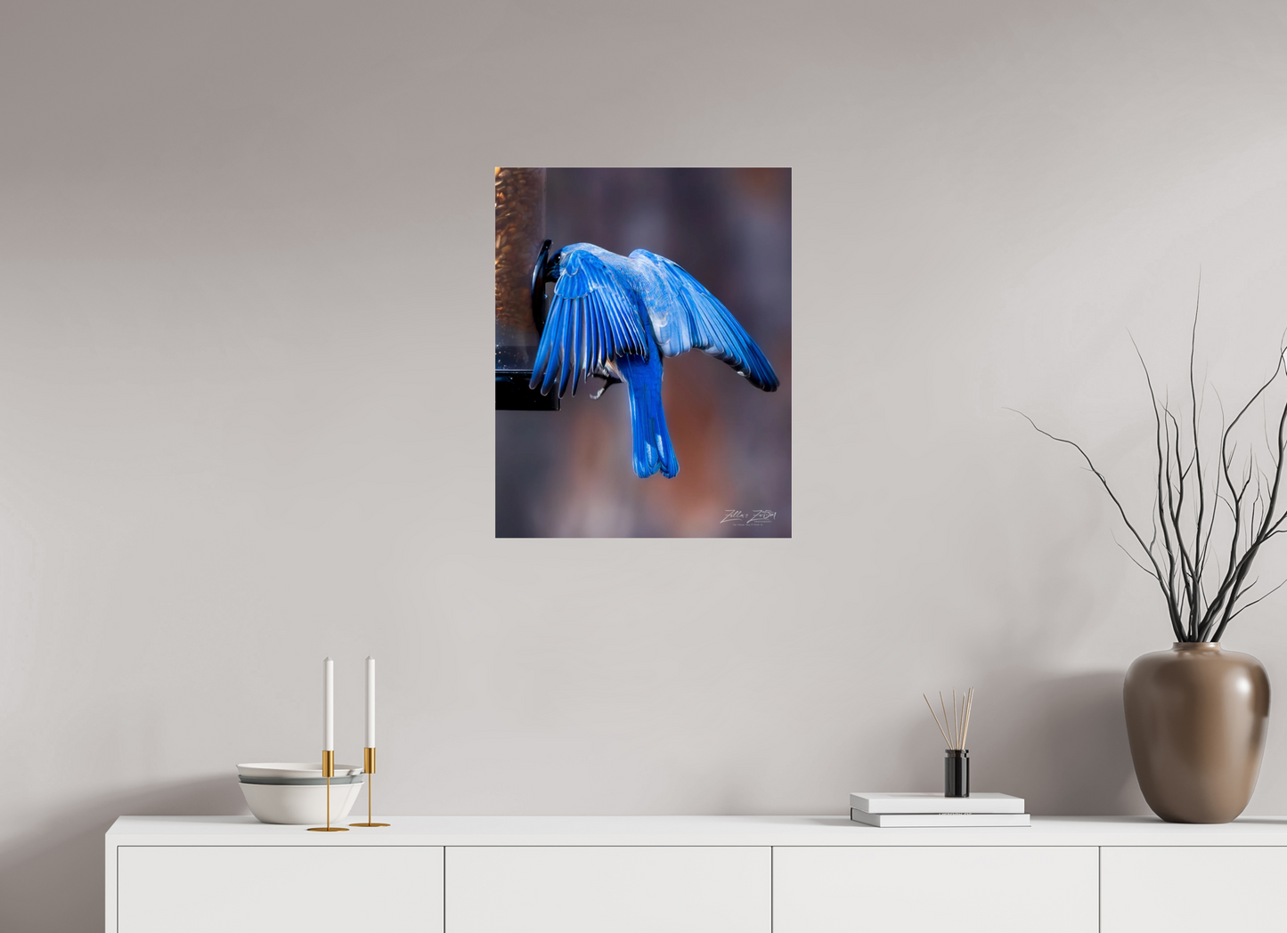 20 x 25″, Photo Print Under Acrylic Glass Zillas Zoom Image 511
